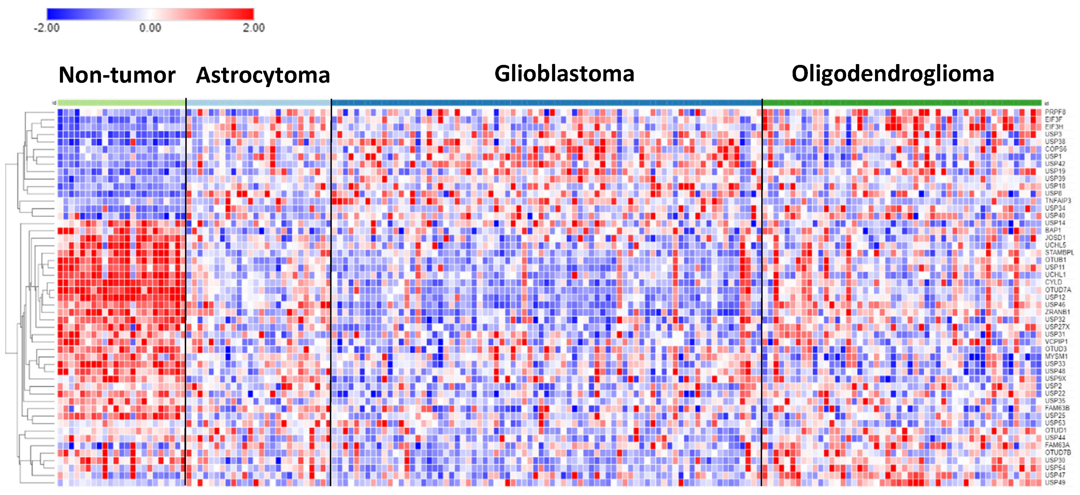 Preprints 84772 g001