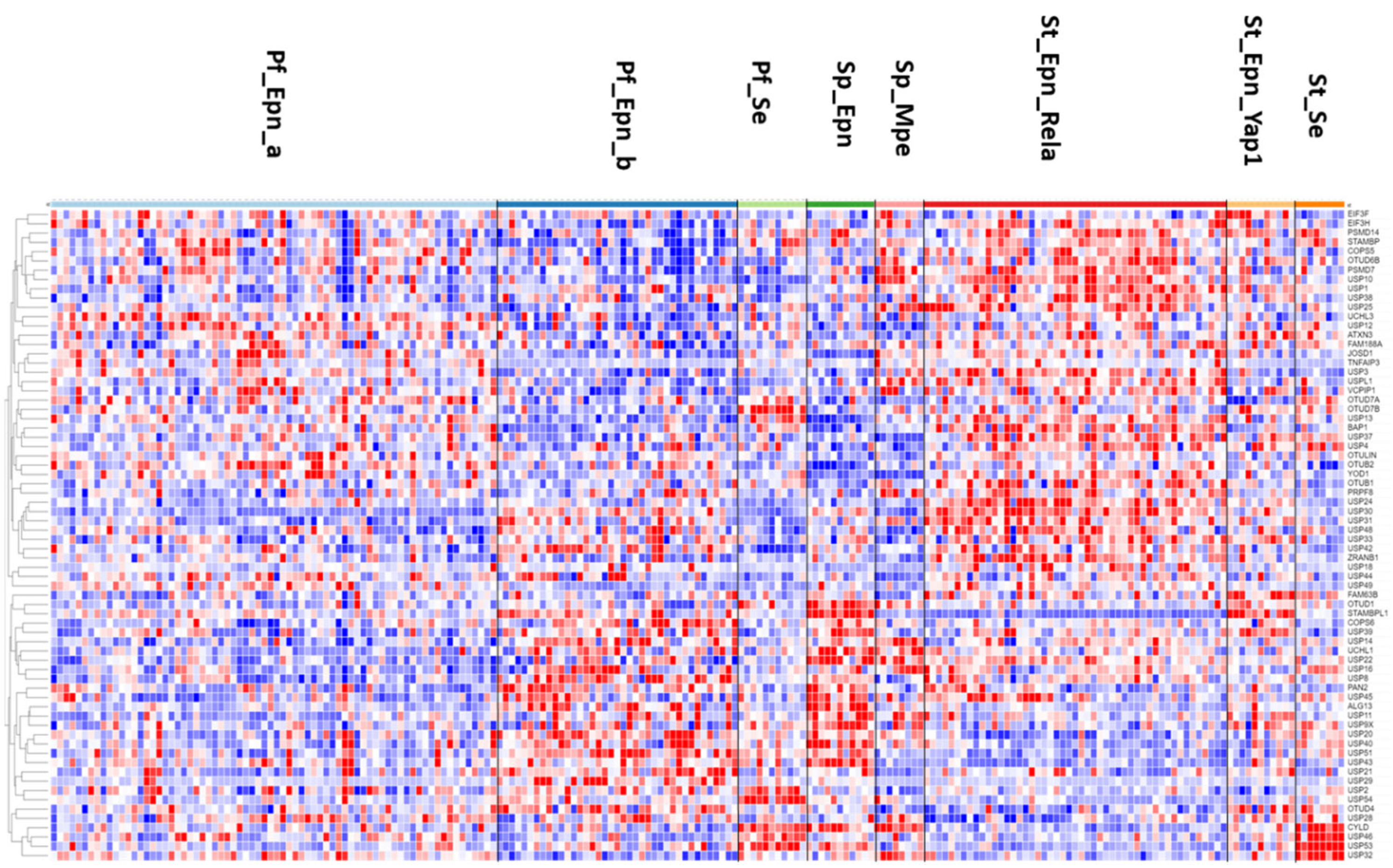 Preprints 84772 g006