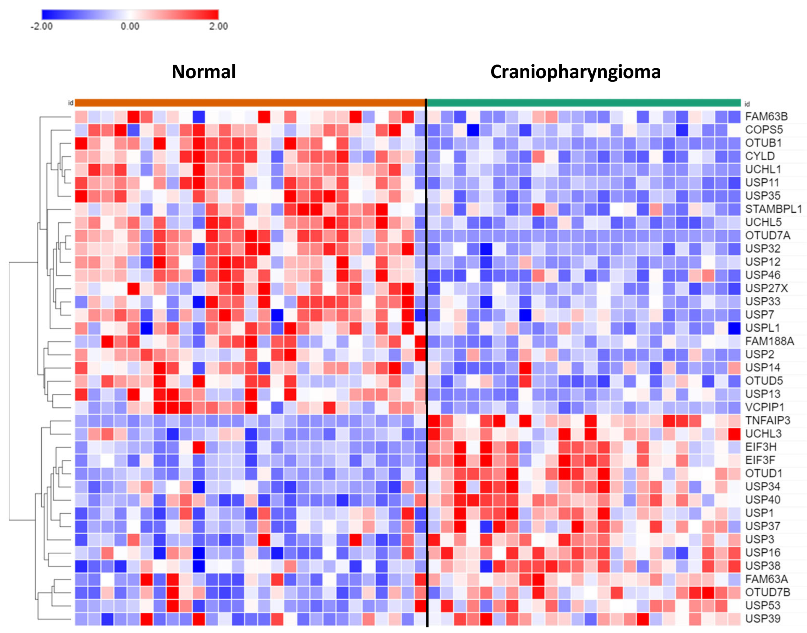 Preprints 84772 g008