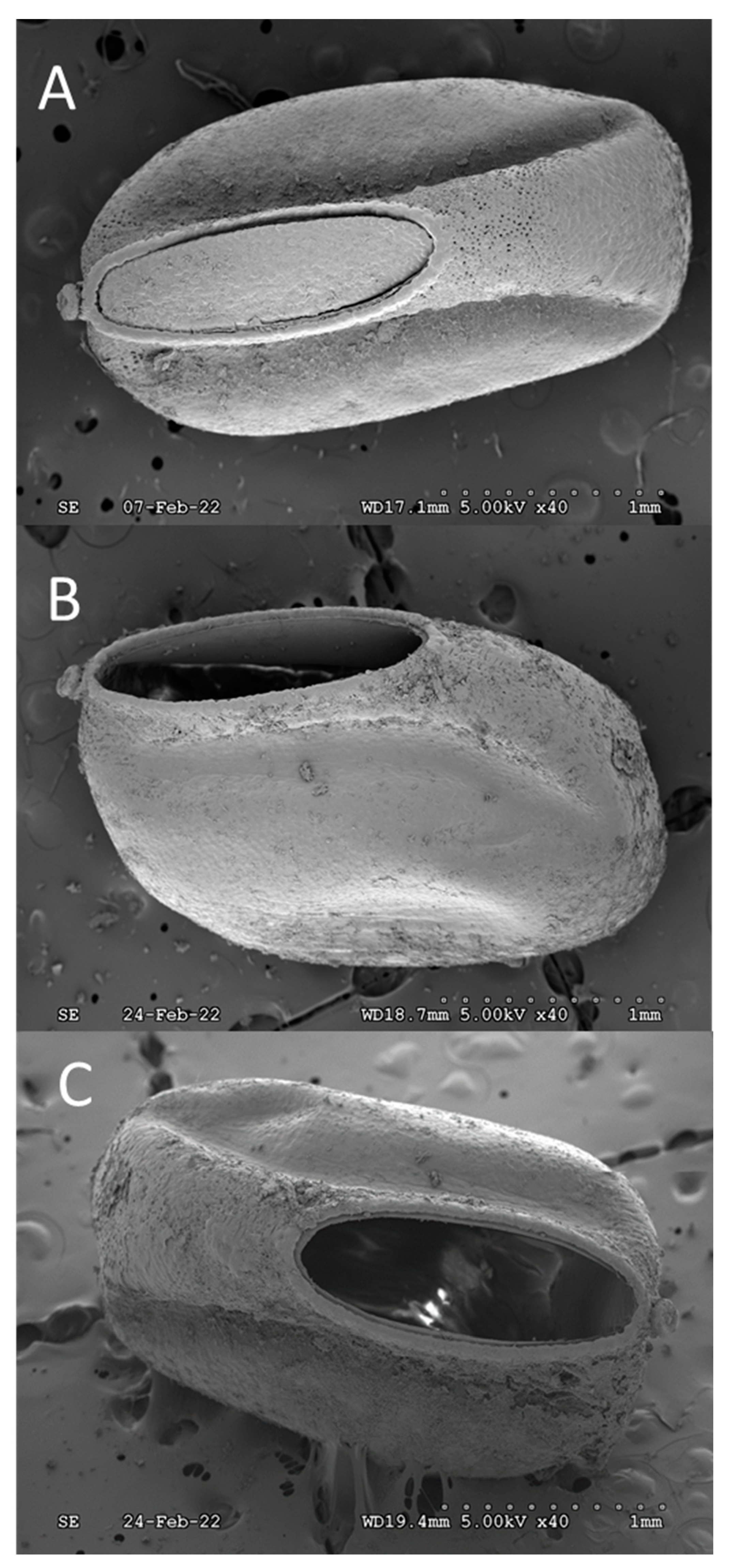 Preprints 85201 g001