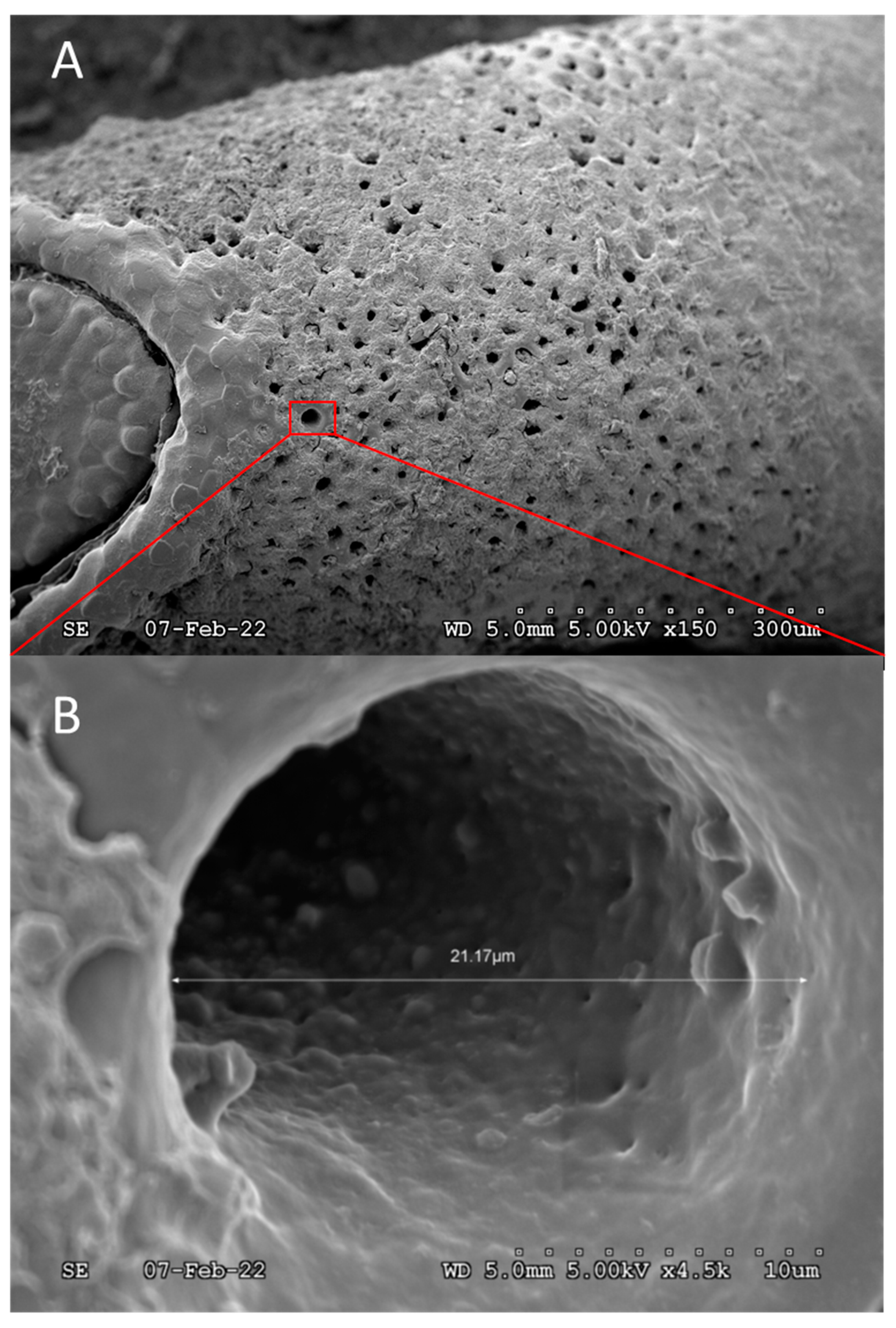 Preprints 85201 g005