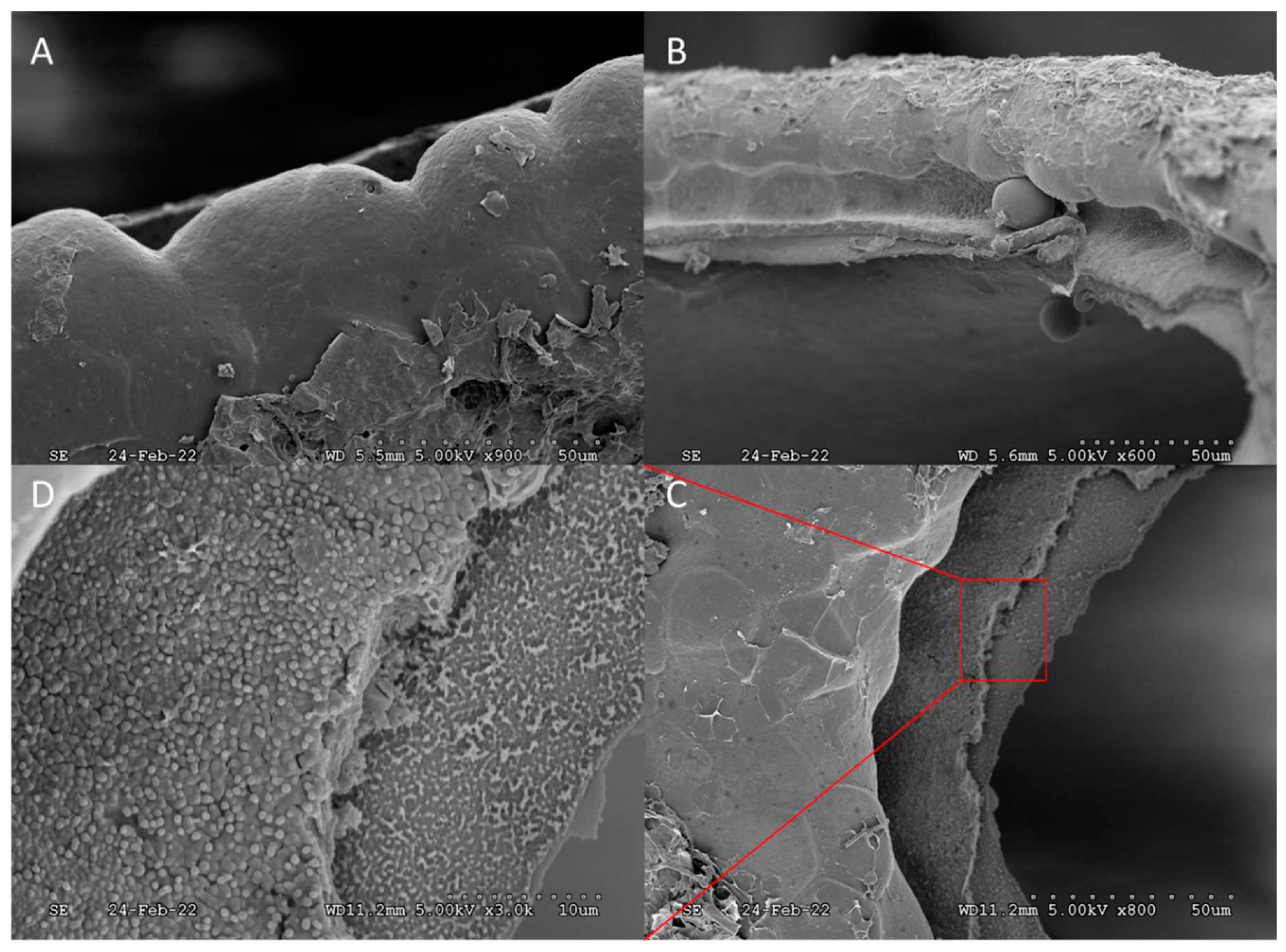 Preprints 85201 g007