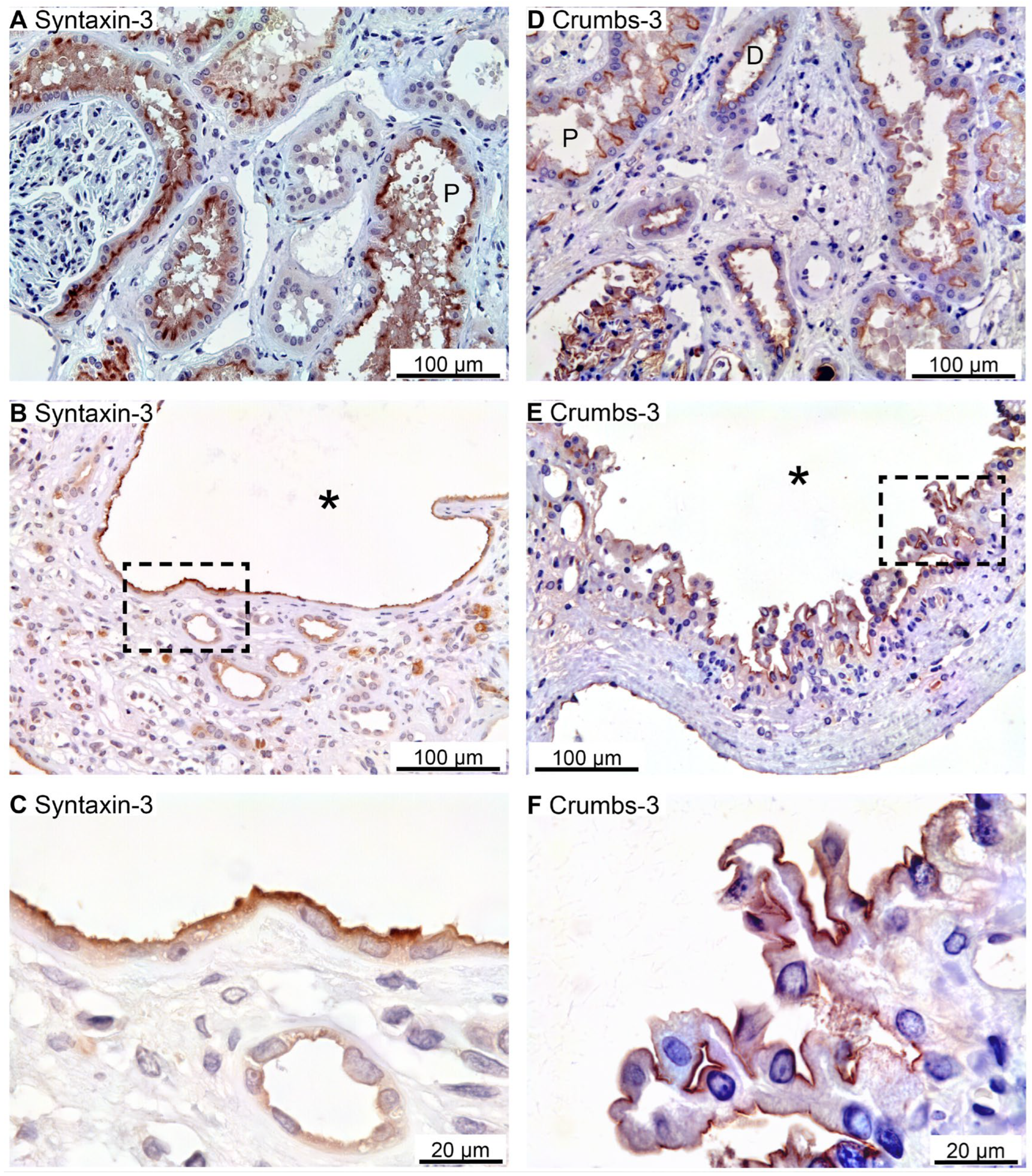 Preprints 94762 g002