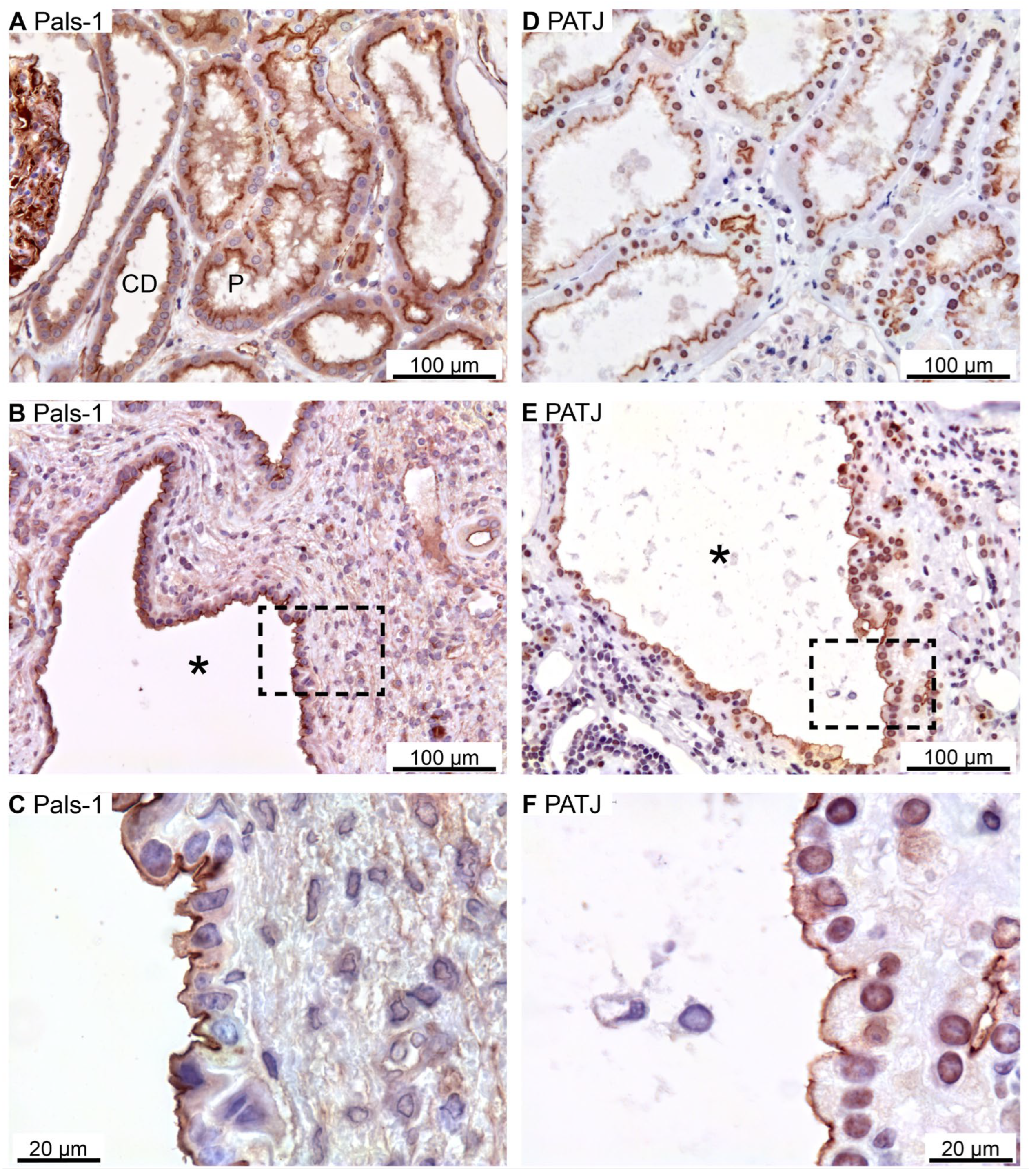 Preprints 94762 g003