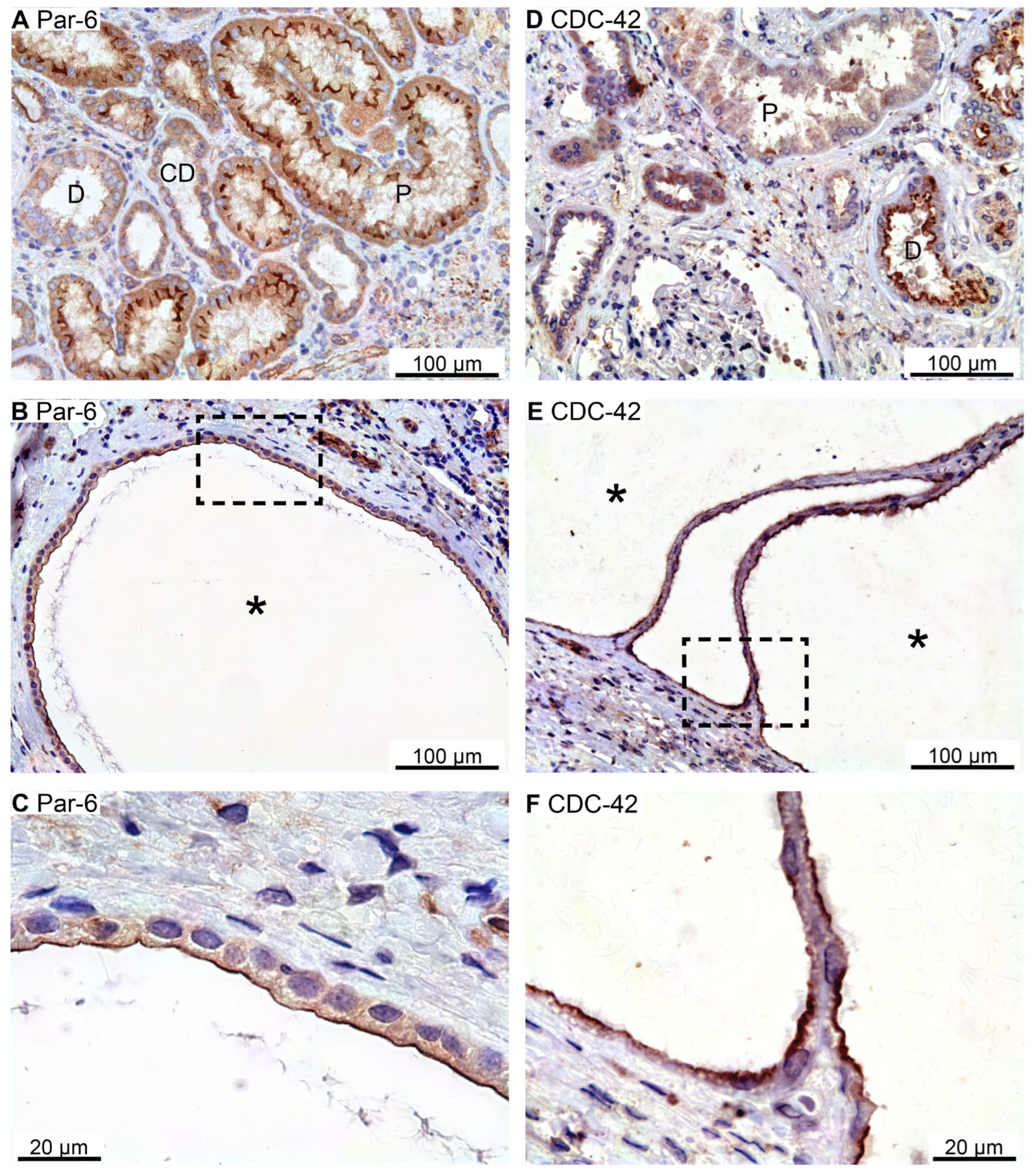 Preprints 94762 g004