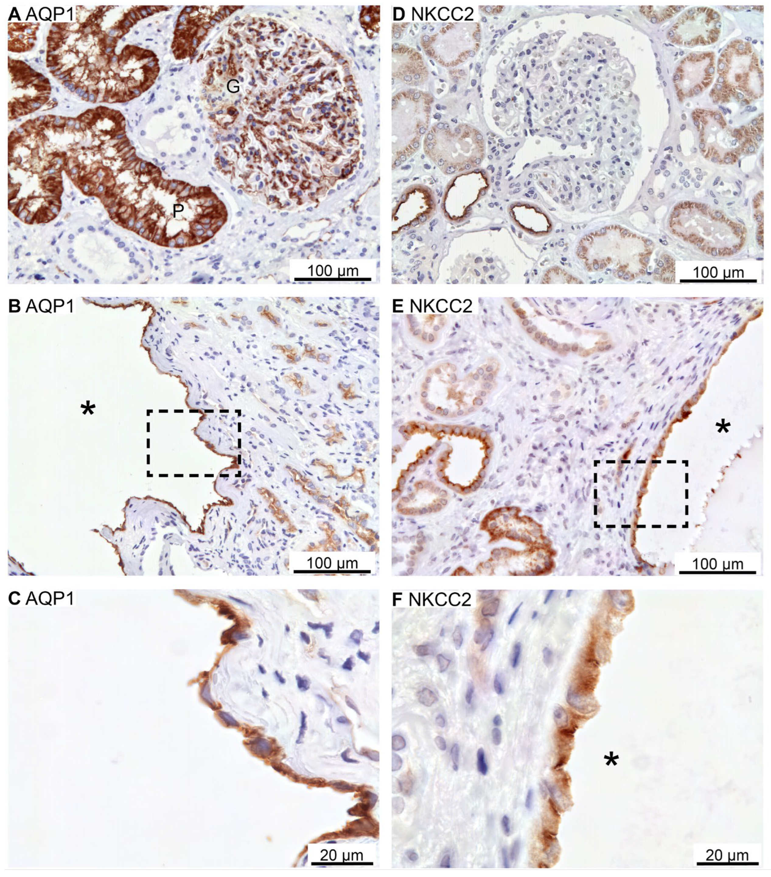 Preprints 94762 g006