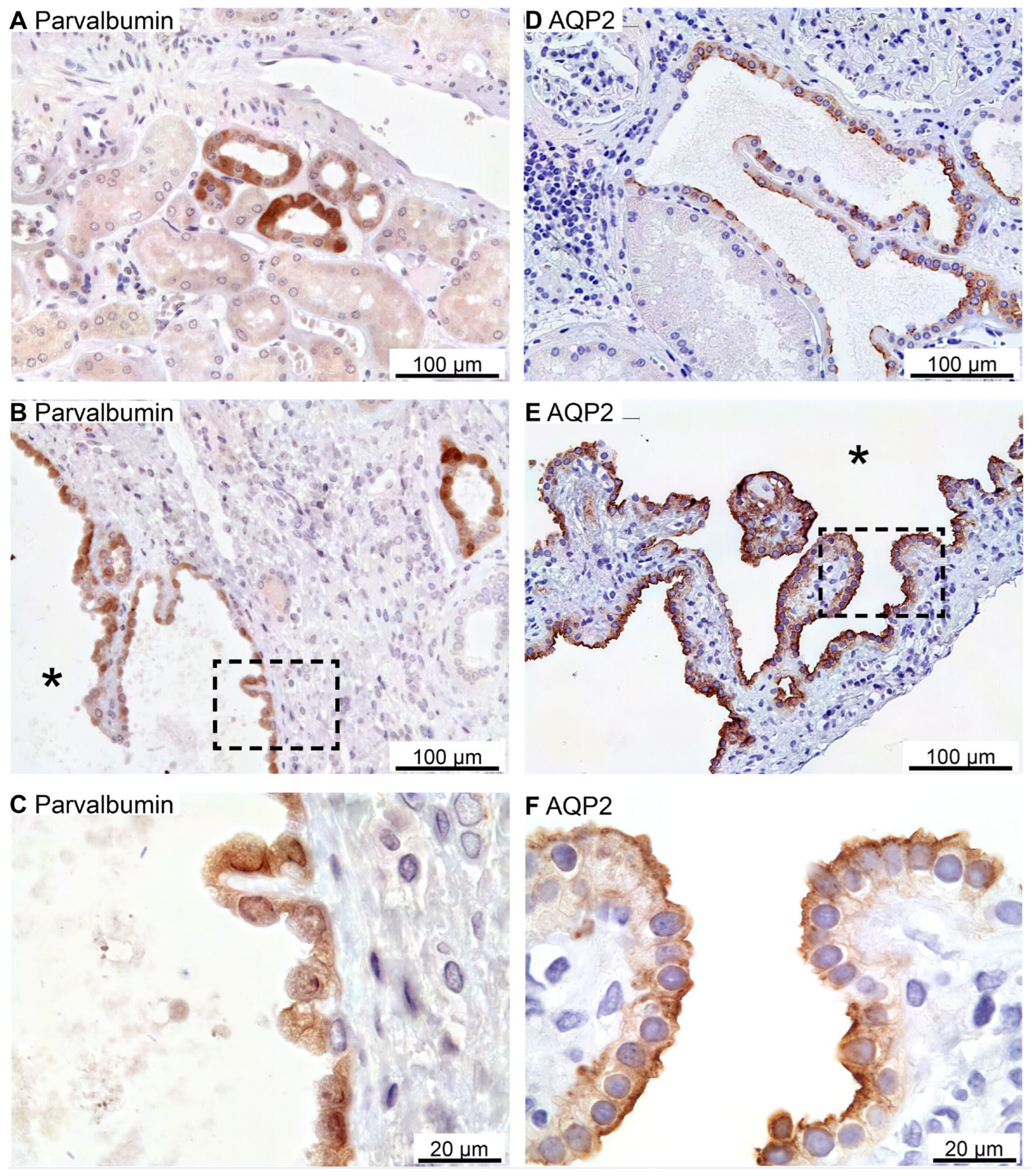 Preprints 94762 g007