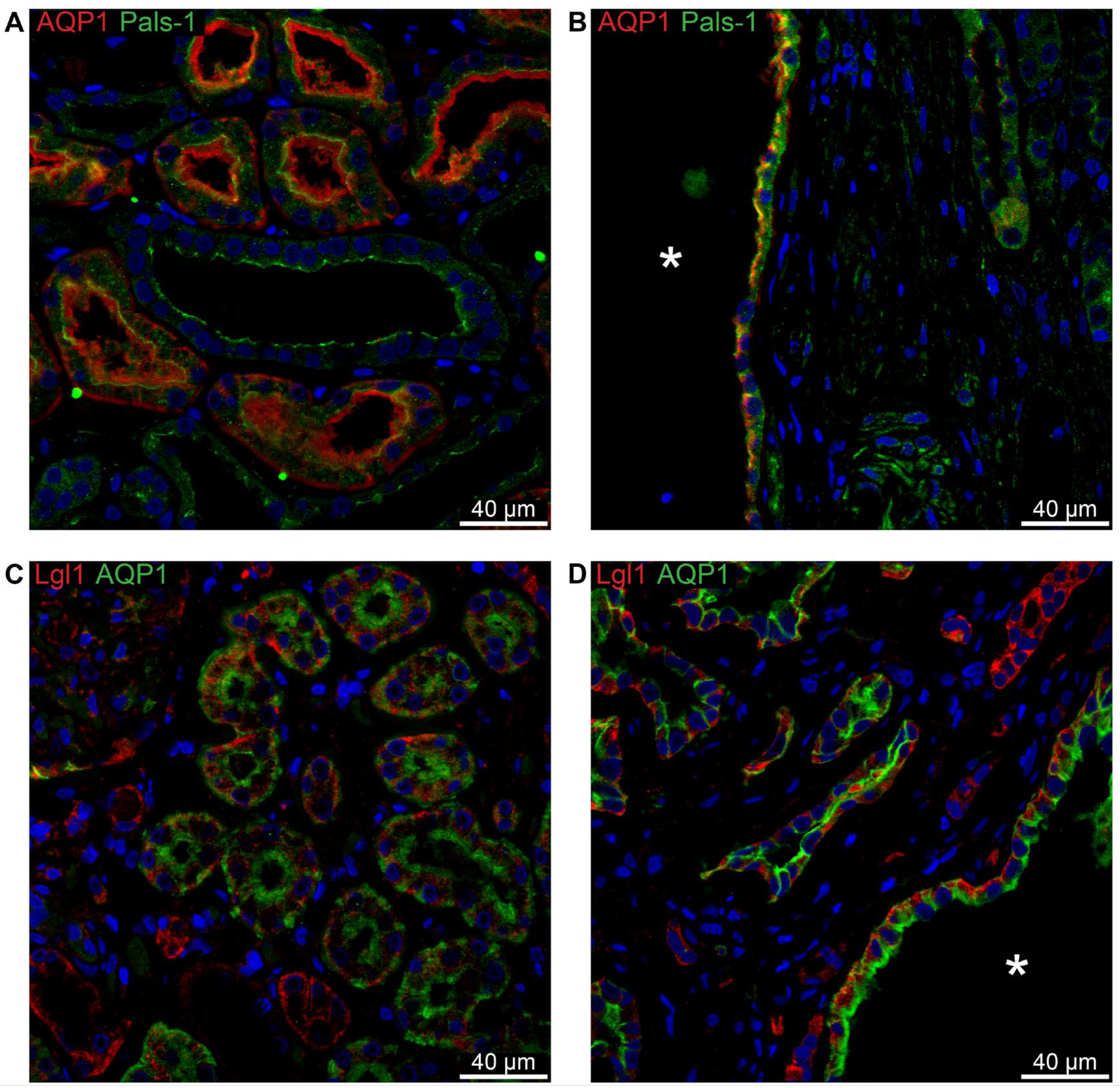 Preprints 94762 g008