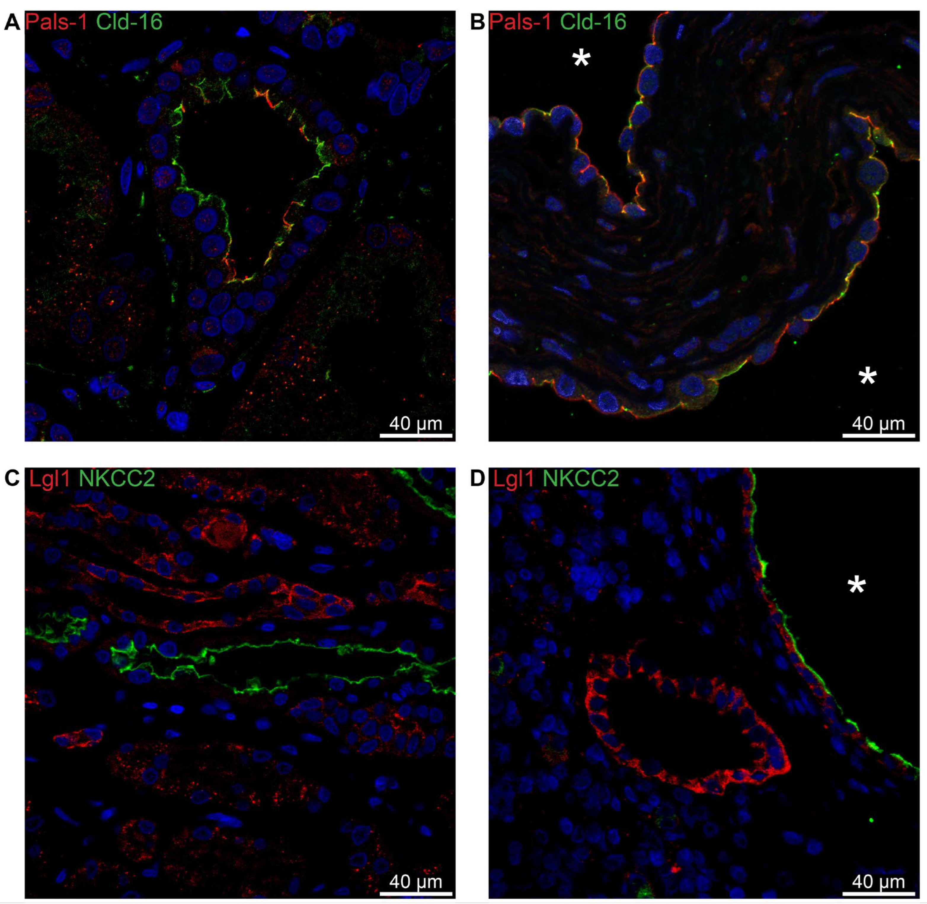 Preprints 94762 g009