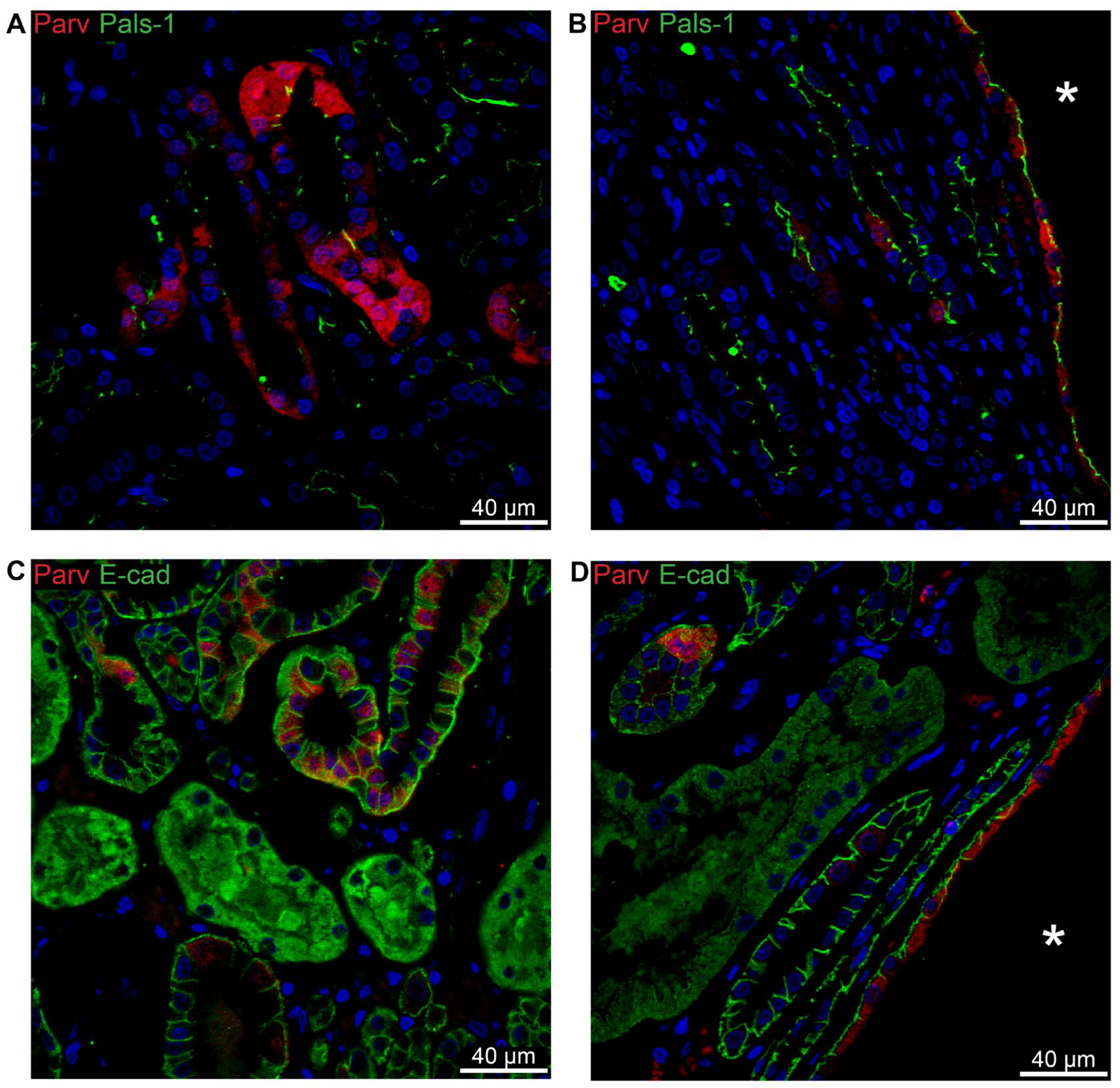 Preprints 94762 g010