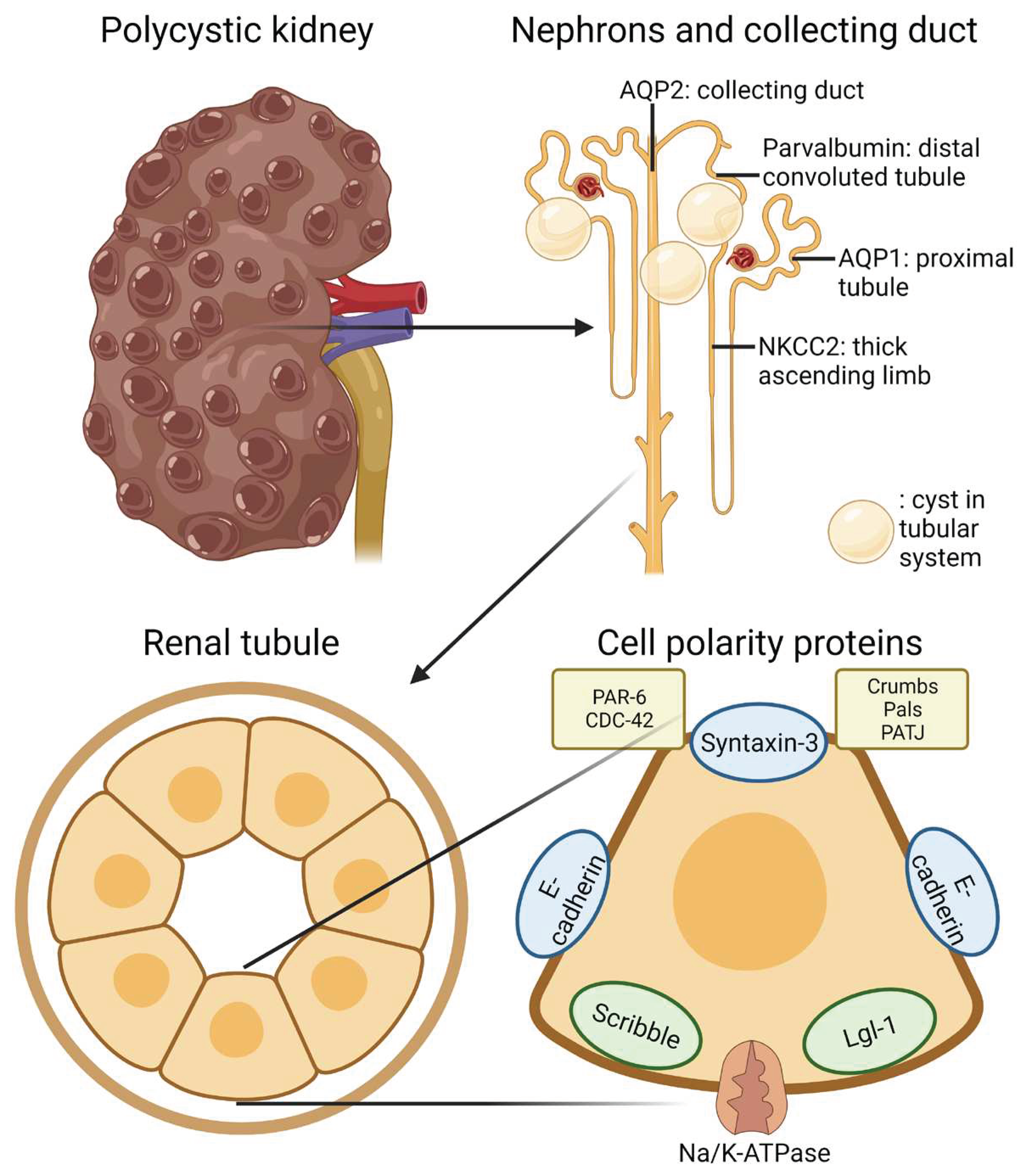 Preprints 94762 g012