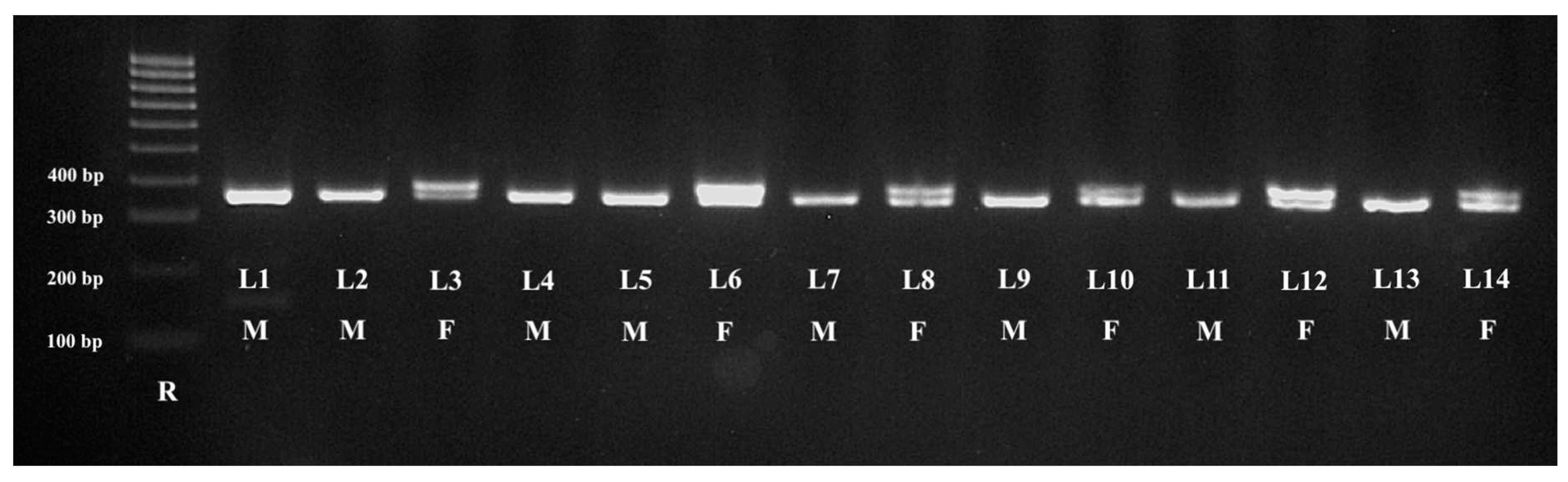 Preprints 87069 g002