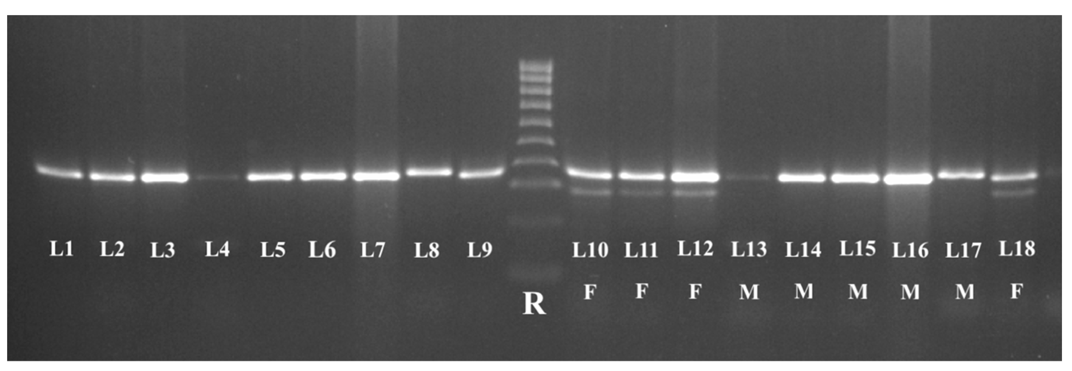 Preprints 87069 g003