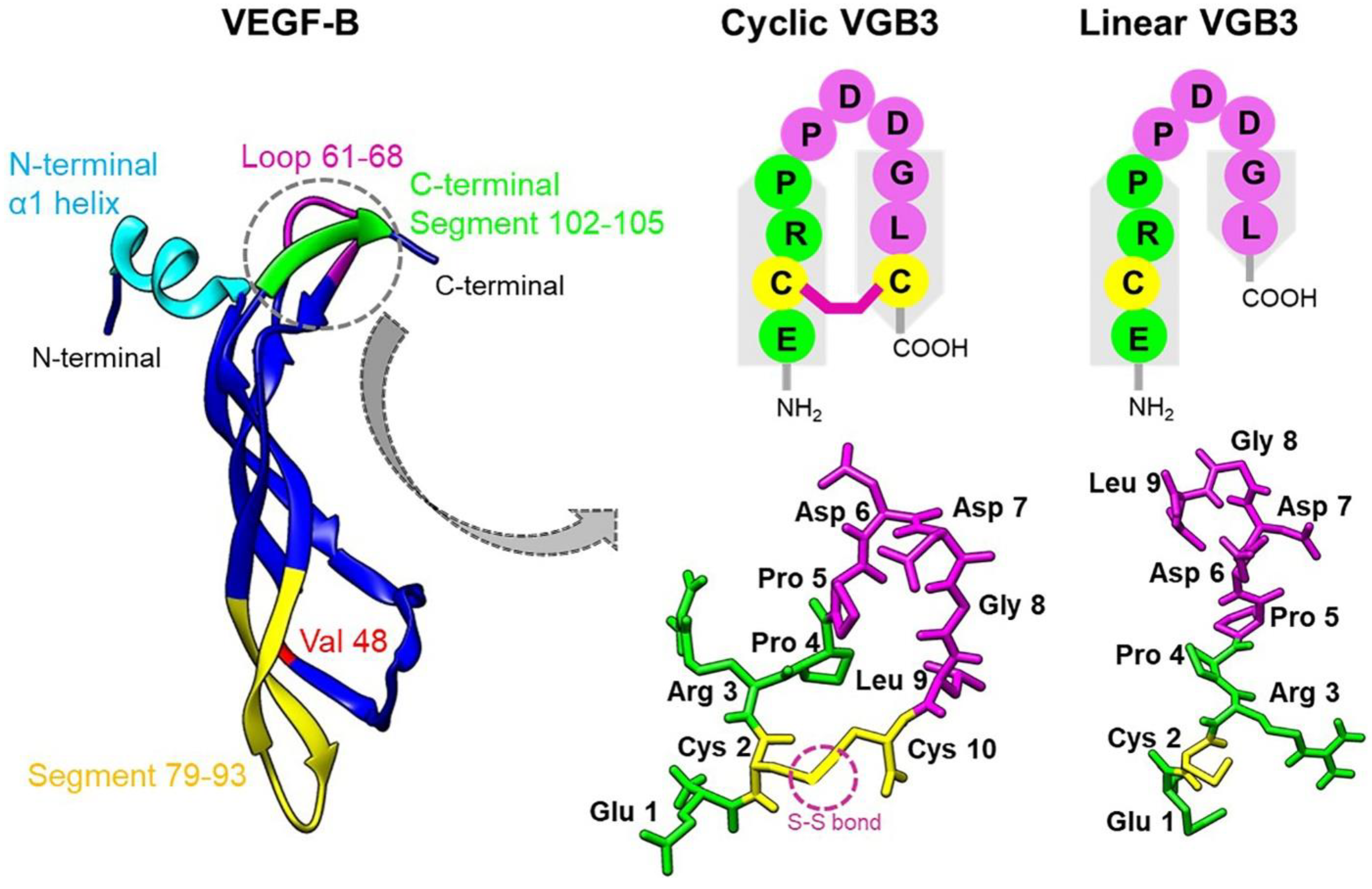 Preprints 73334 g001