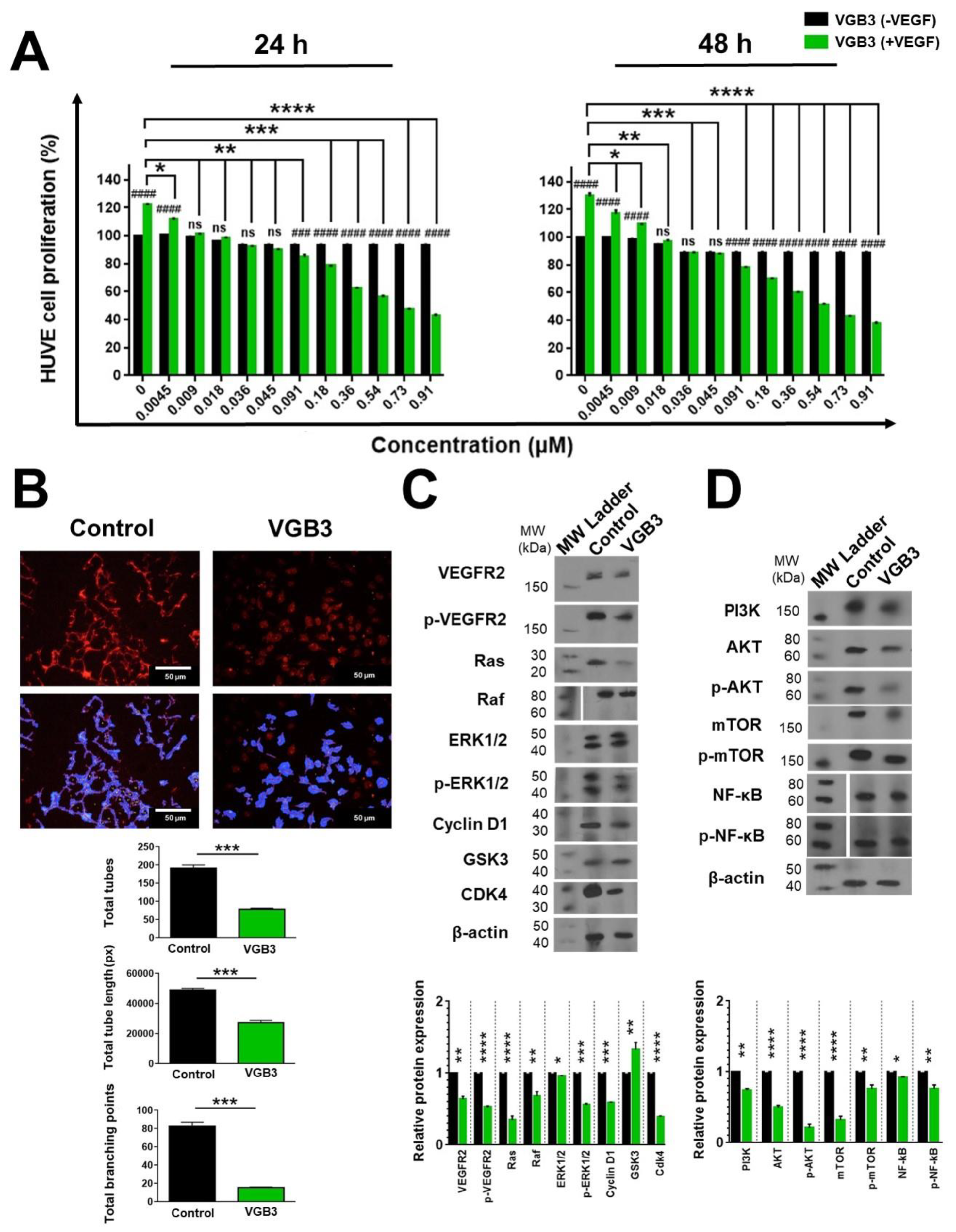 Preprints 73334 g004