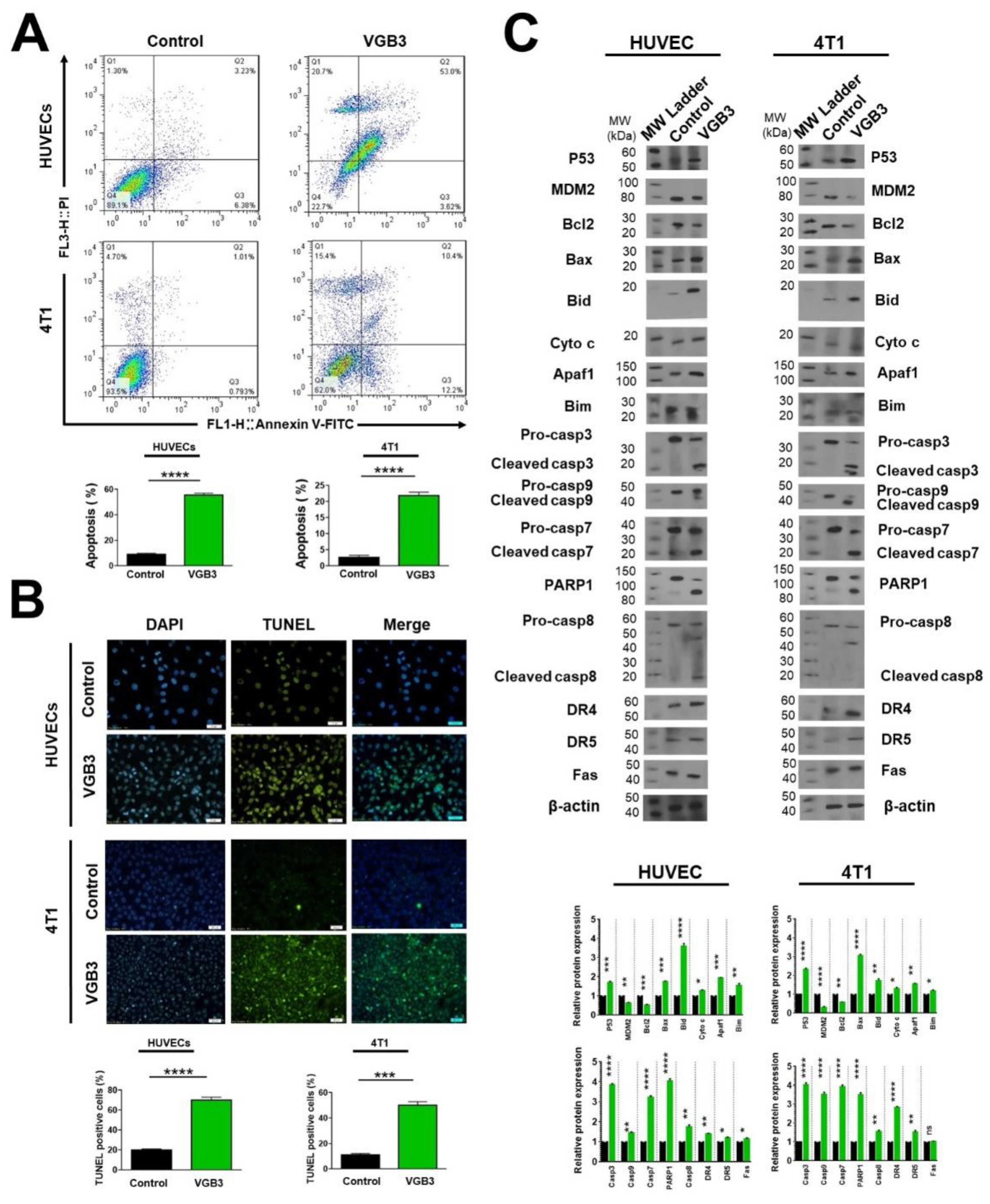 Preprints 73334 g006