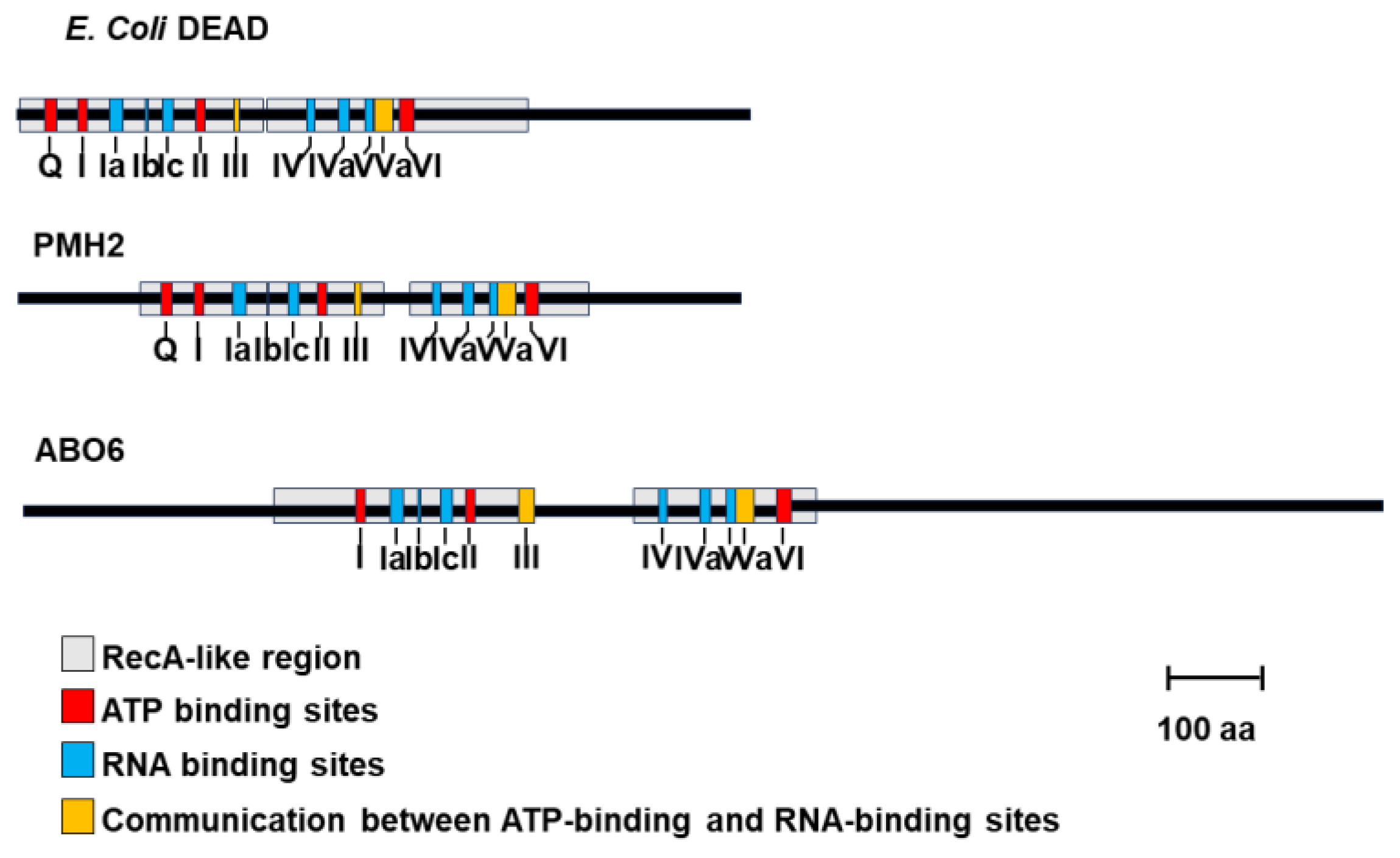 Preprints 101201 g001