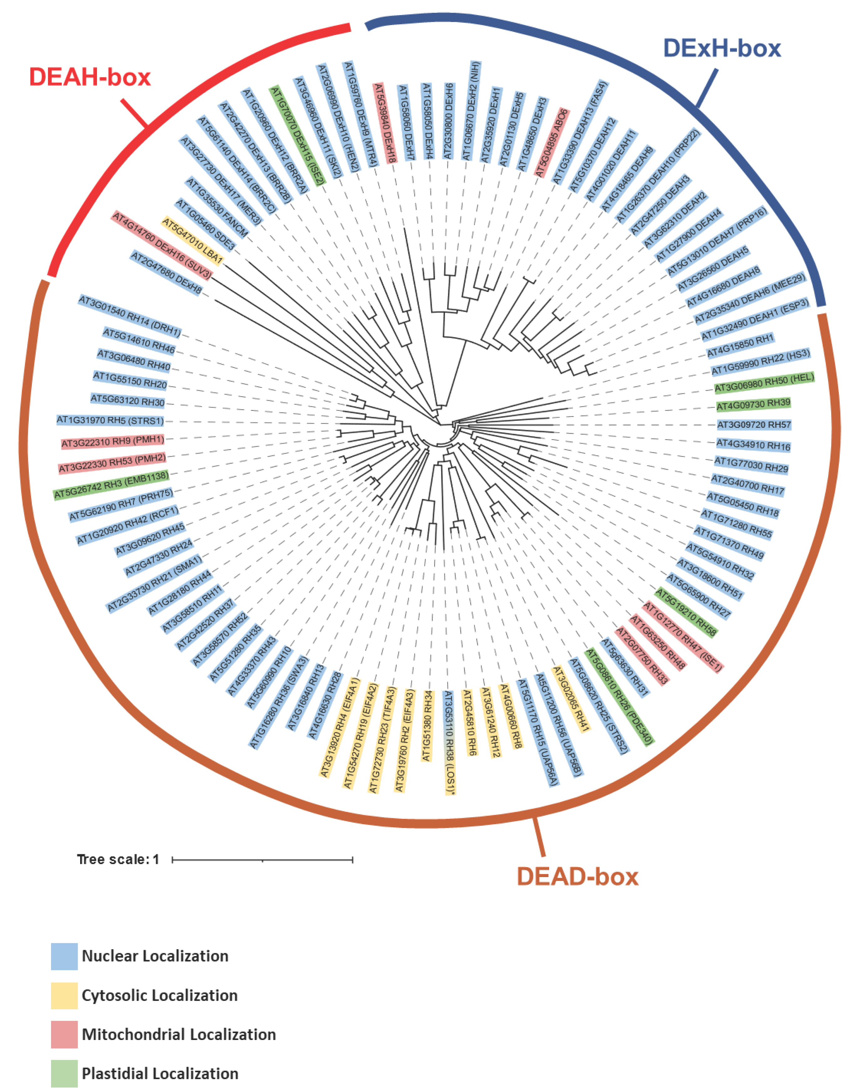 Preprints 101201 g003