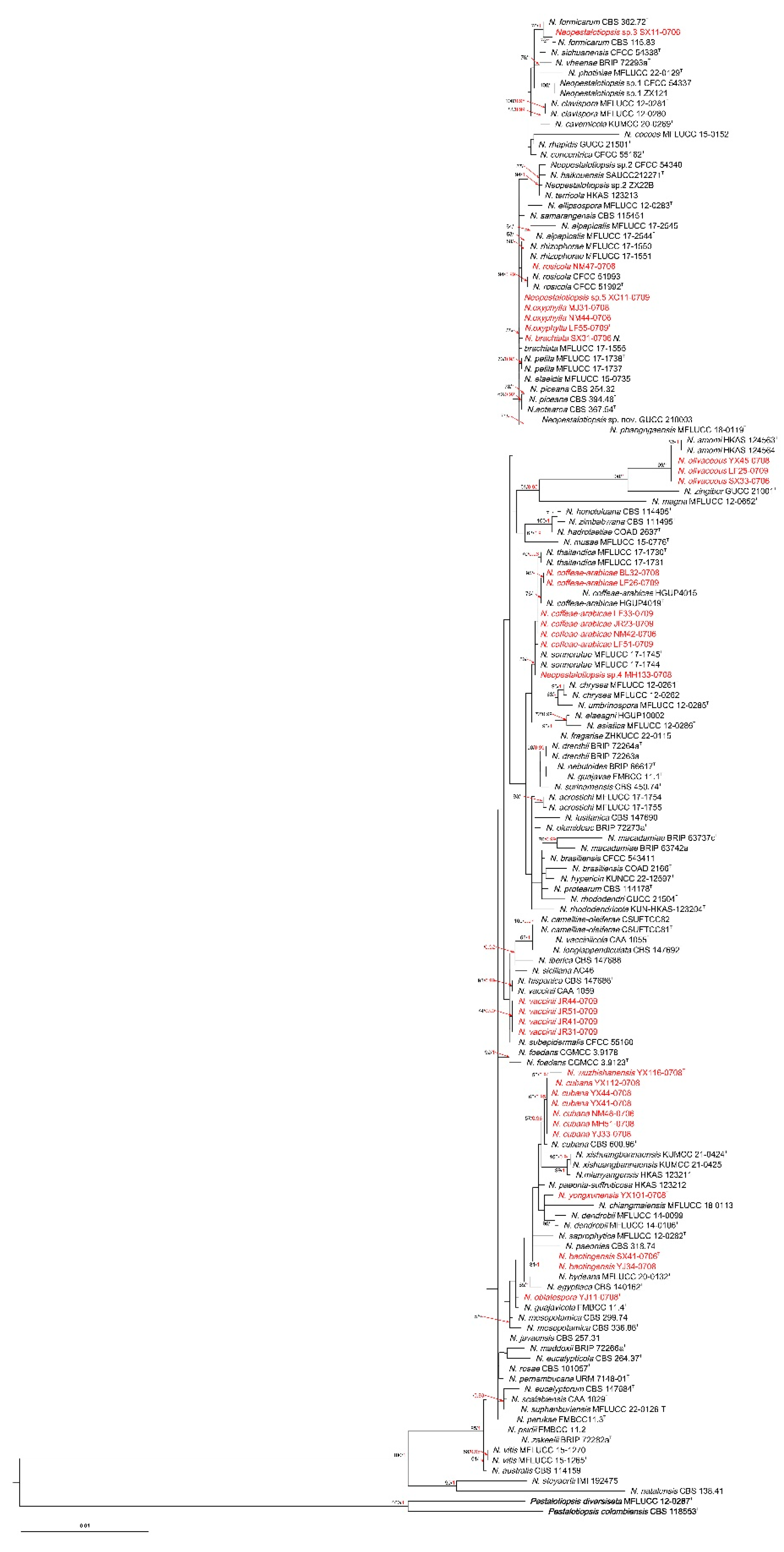 Preprints 104358 g001