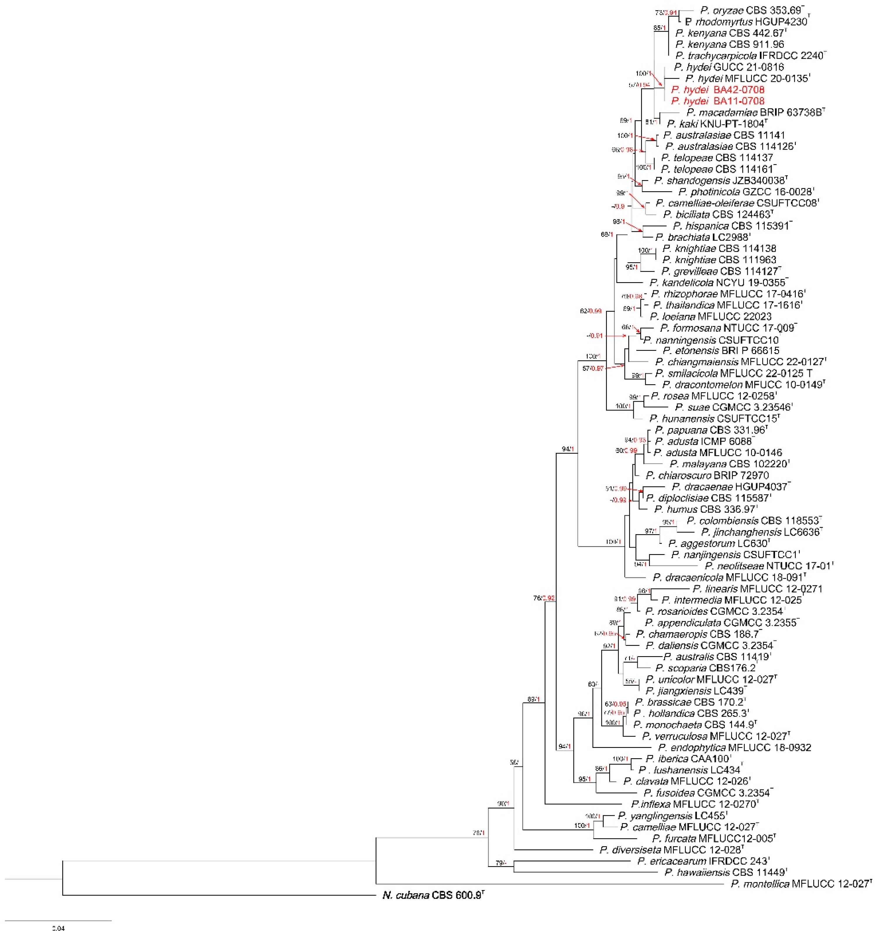 Preprints 104358 g002