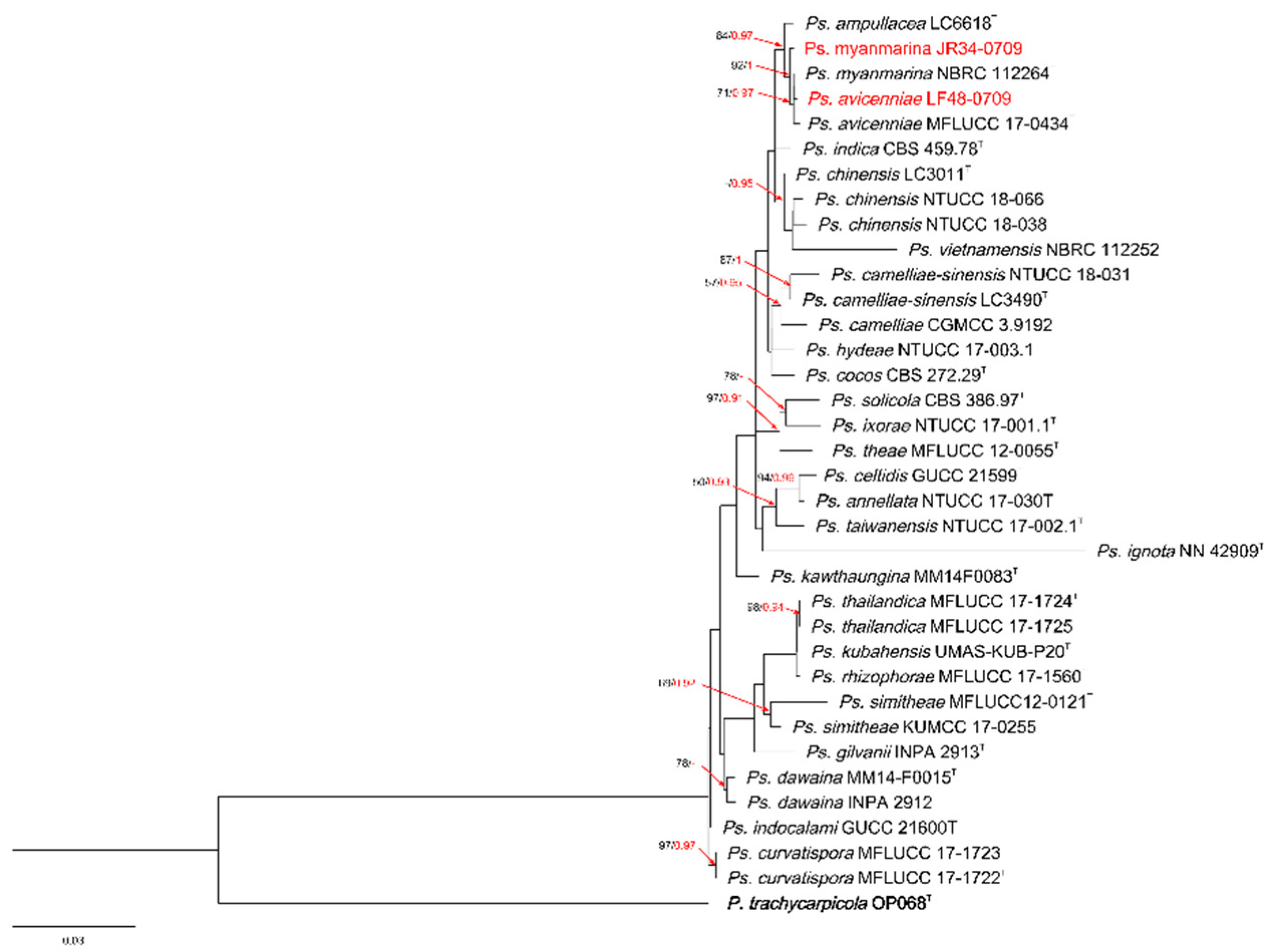 Preprints 104358 g003