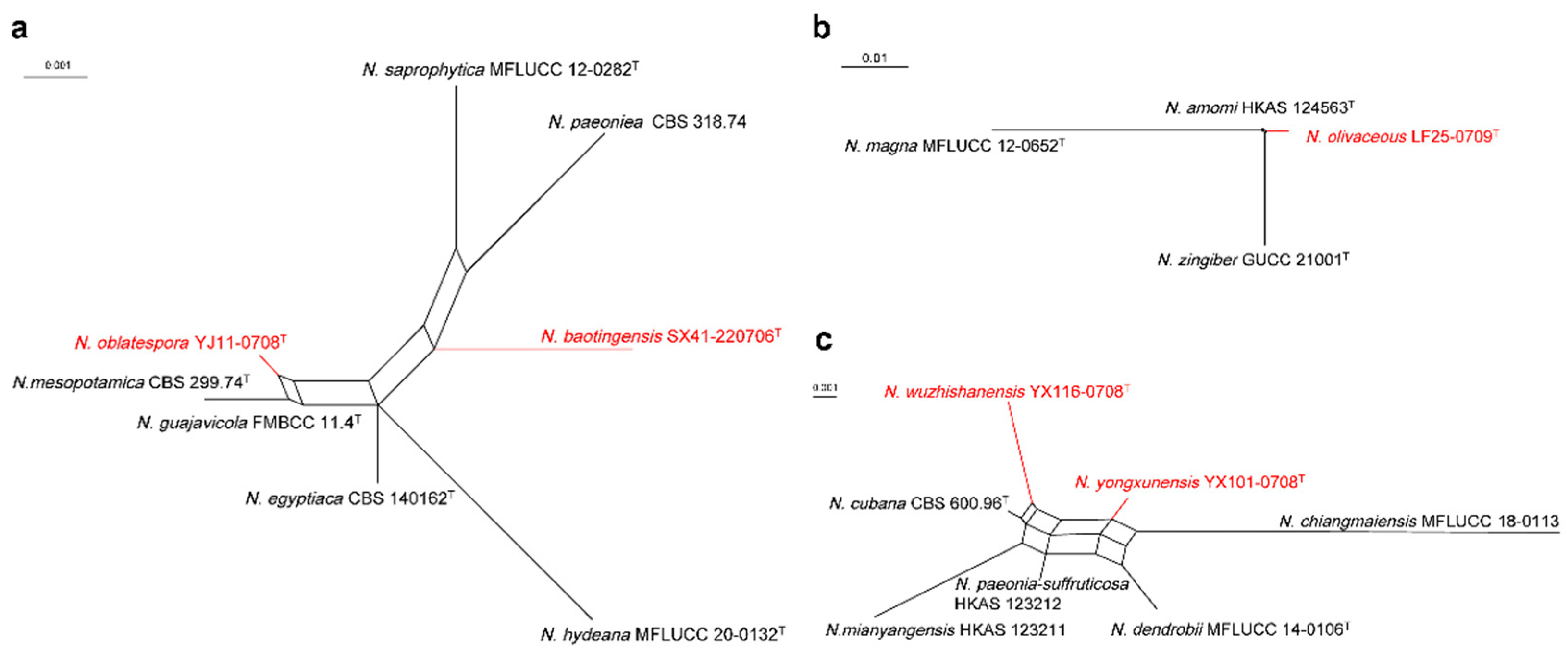 Preprints 104358 g004