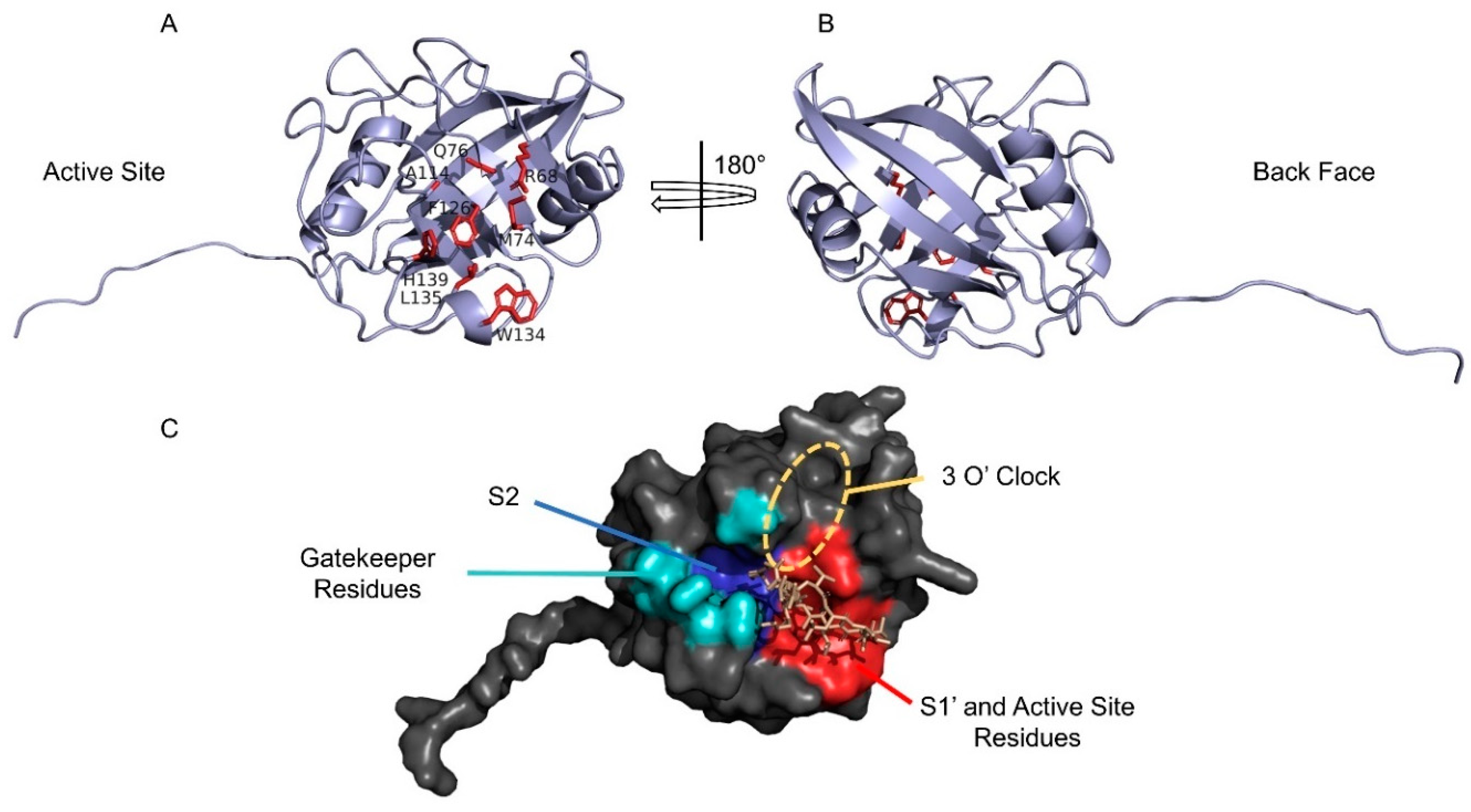 Preprints 78757 g002