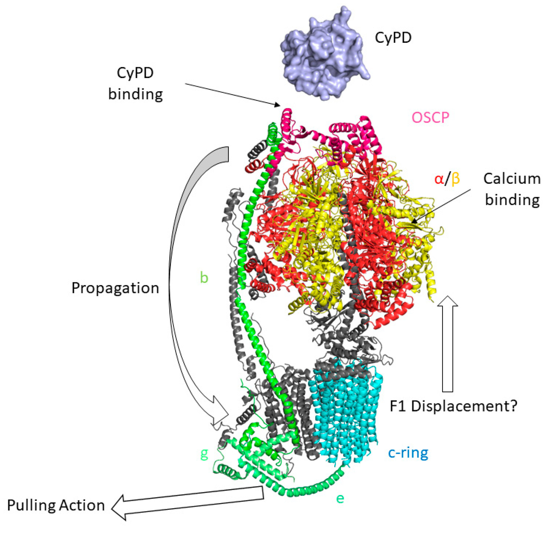 Preprints 78757 g003