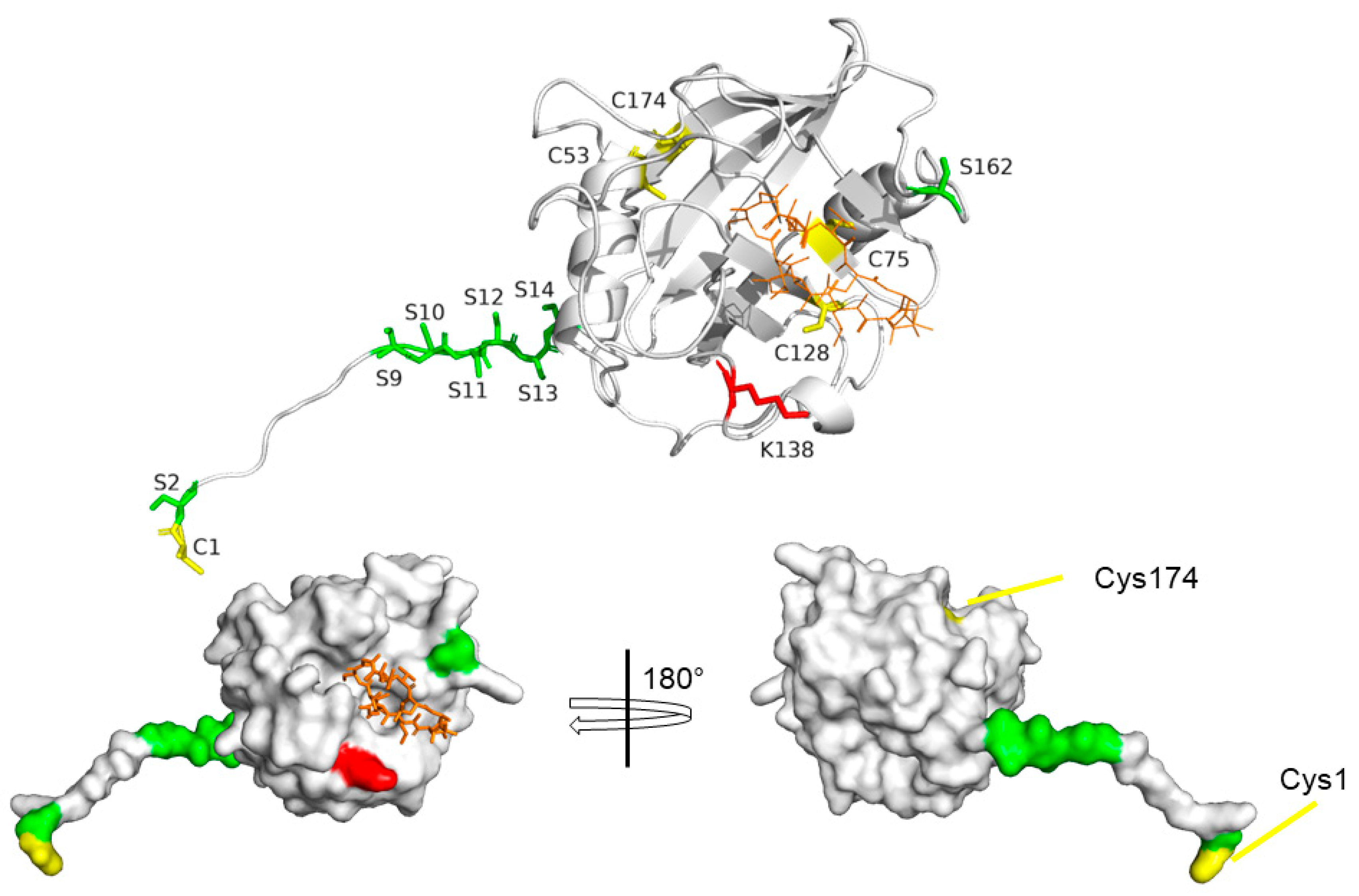 Preprints 78757 g004