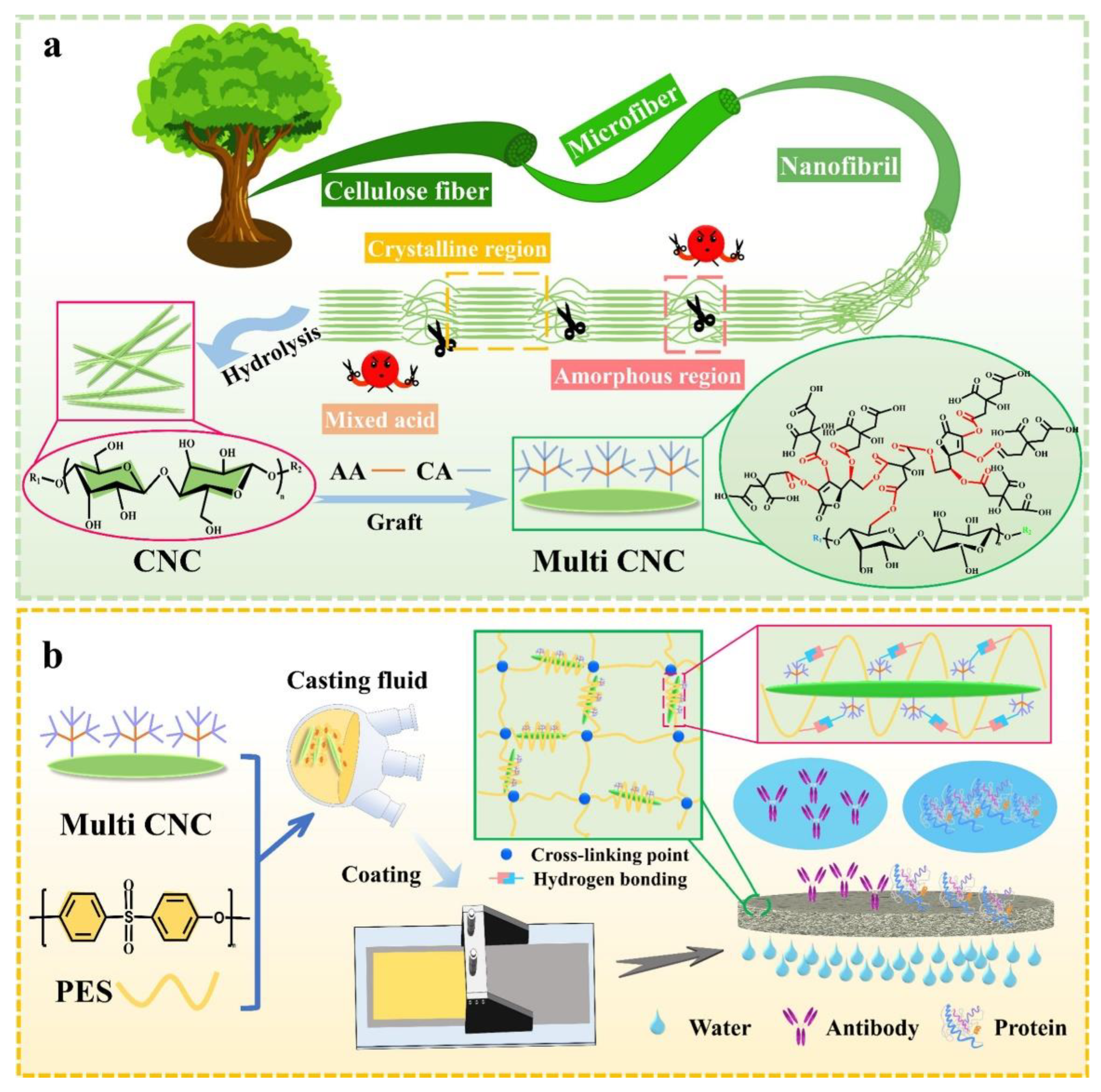 Preprints 107301 g014