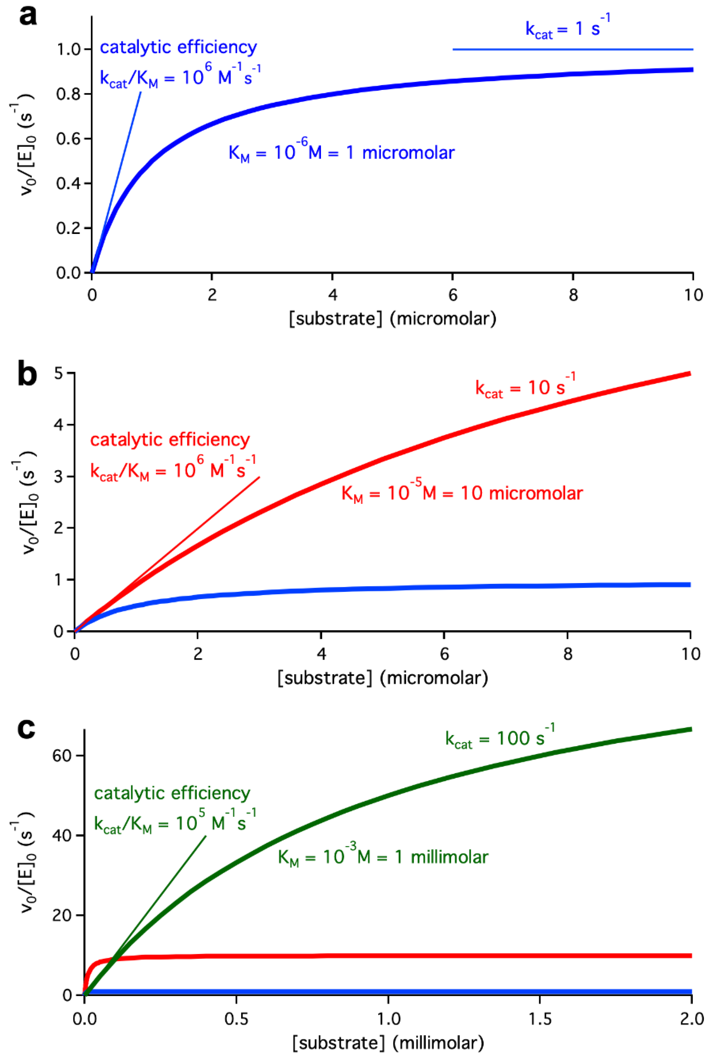 Preprints 97744 g001