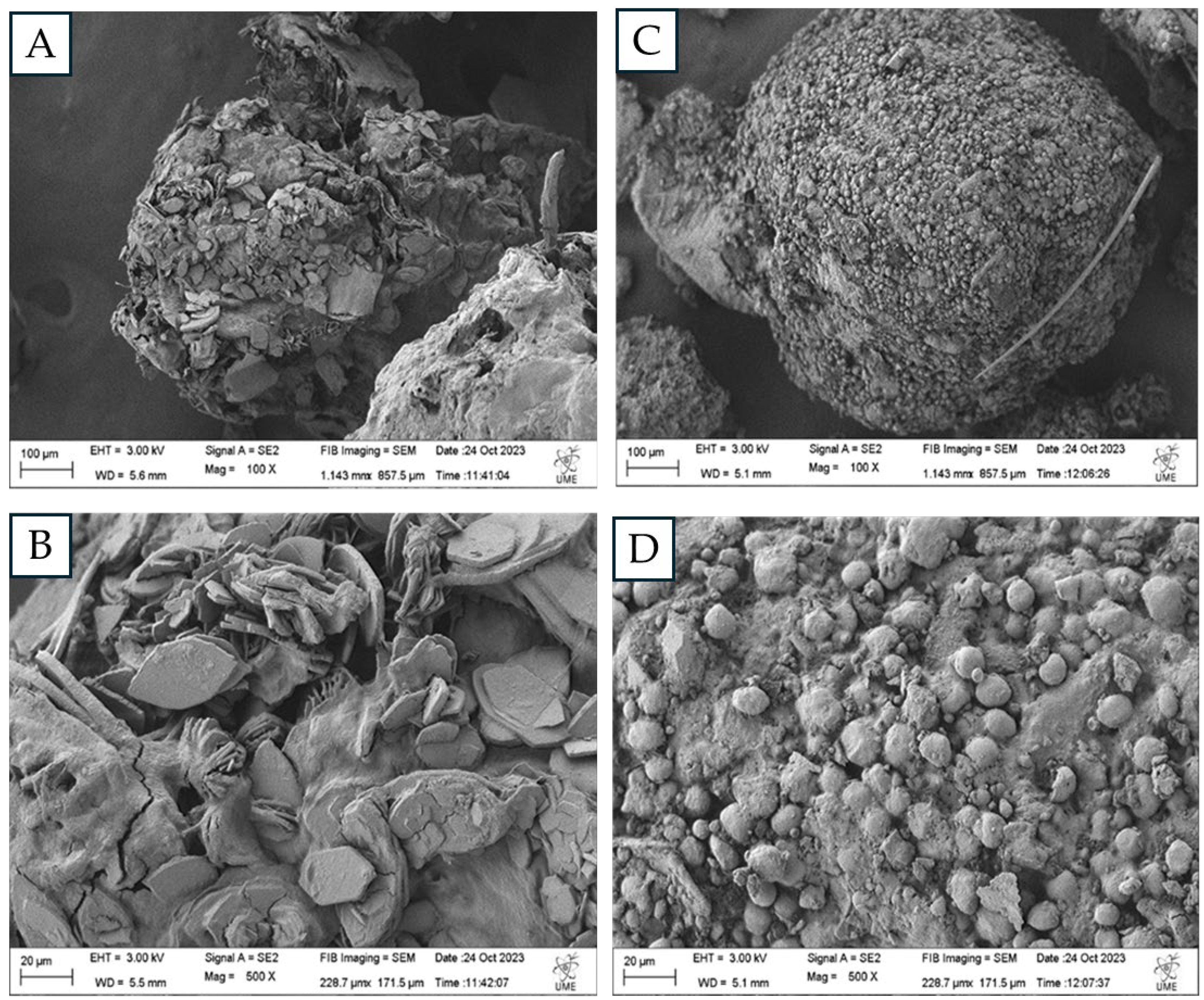 Preprints 118071 g003