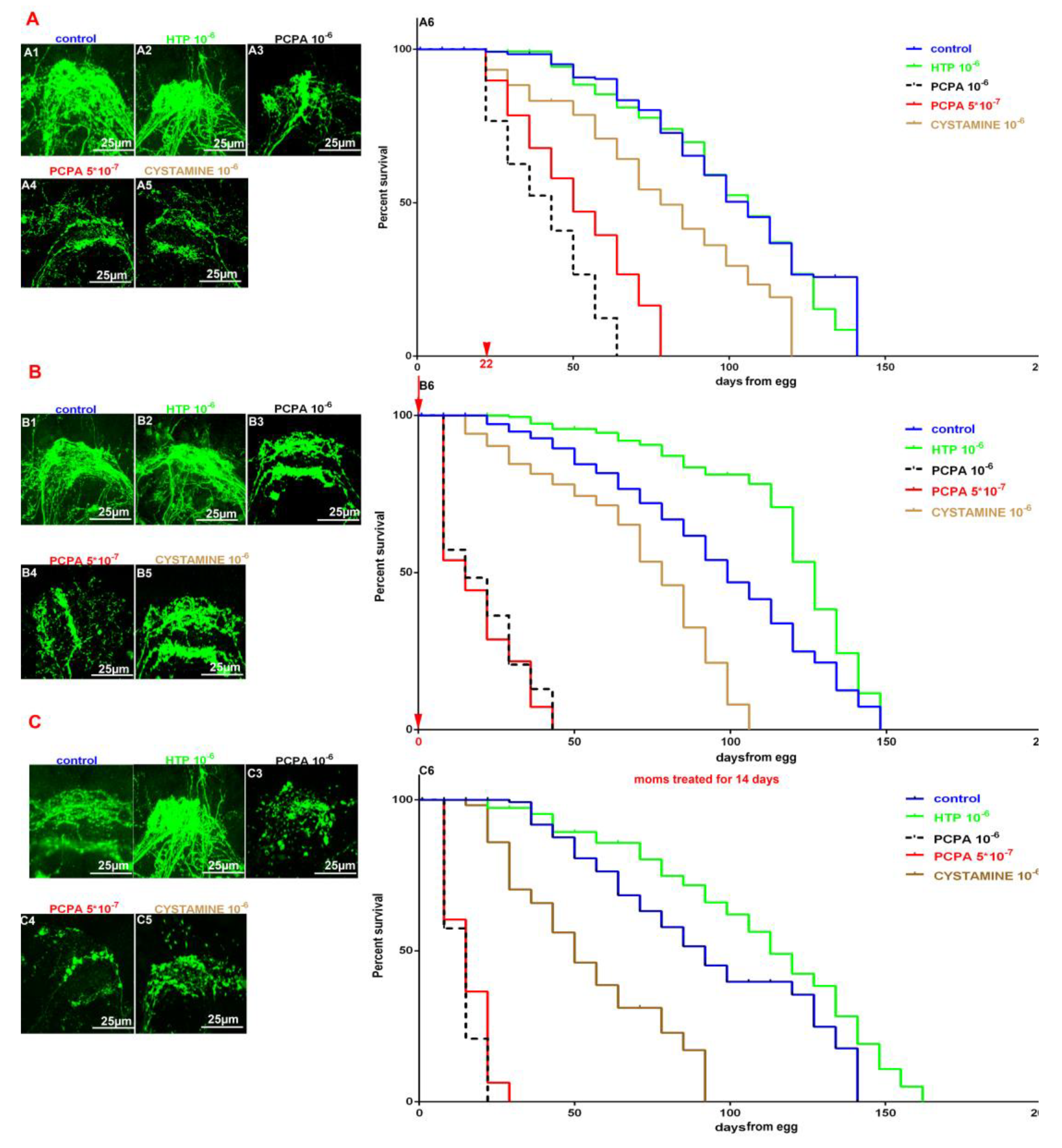 Preprints 67520 g001