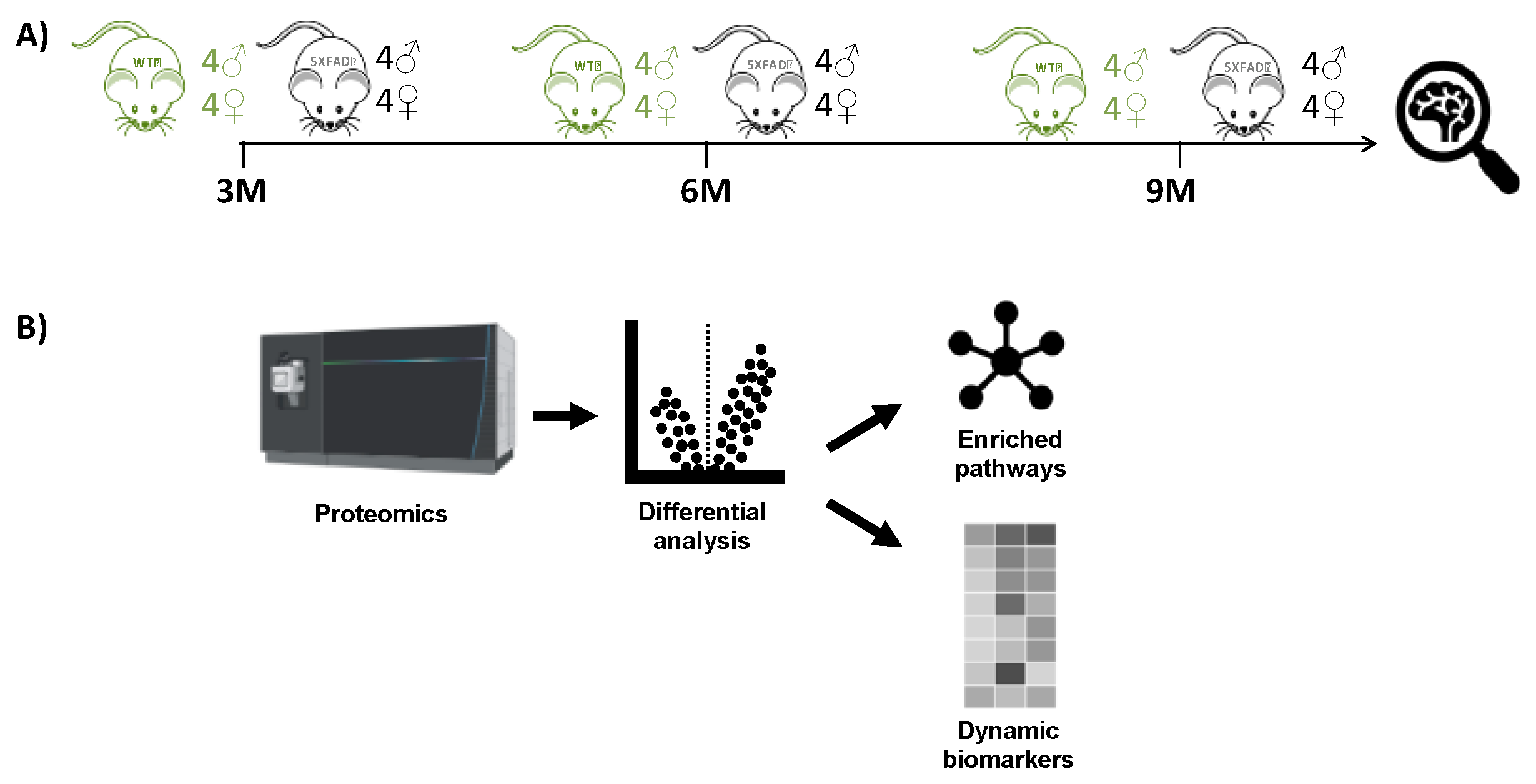 Preprints 105235 g001