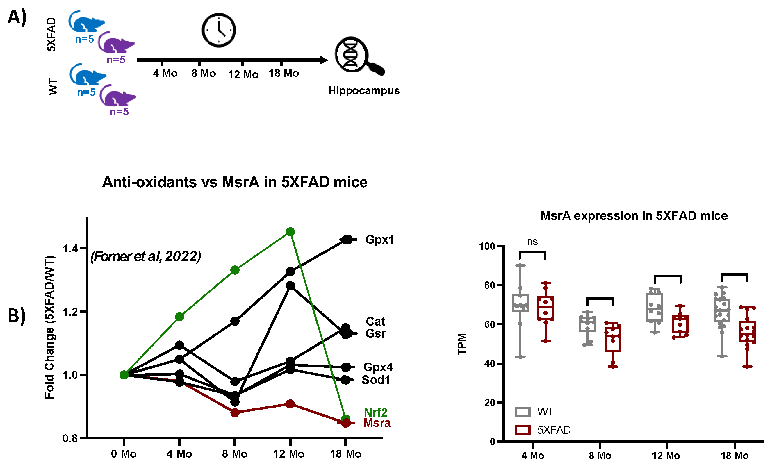 Preprints 105235 g005