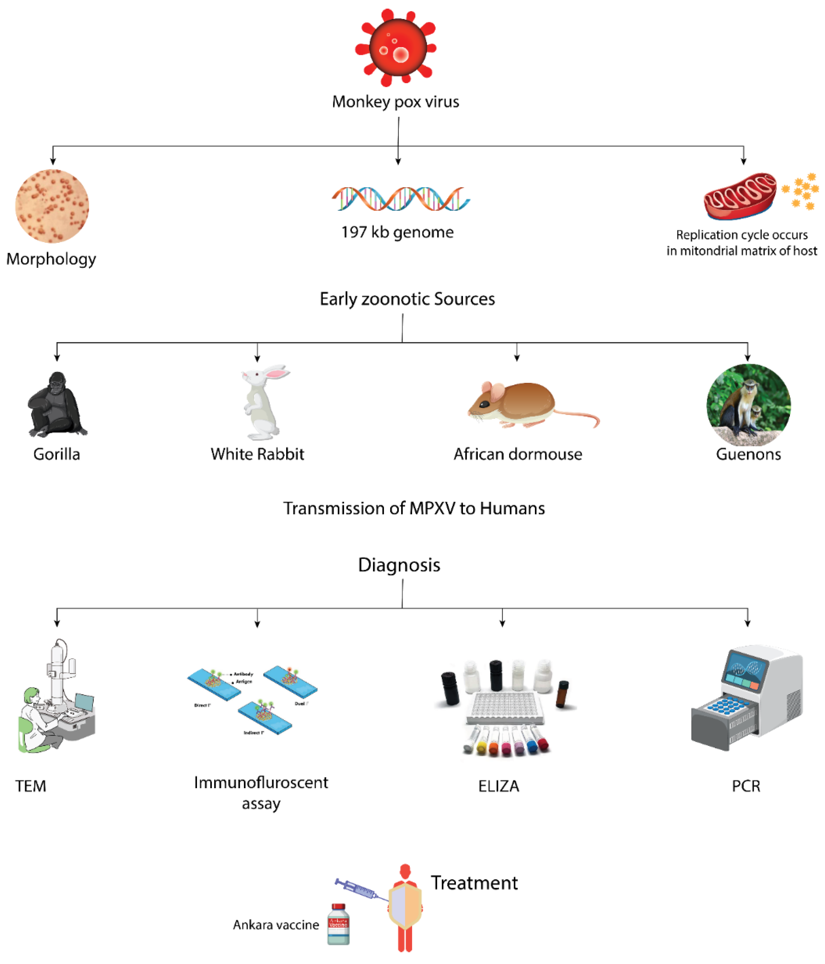 Preprints 99790 g001