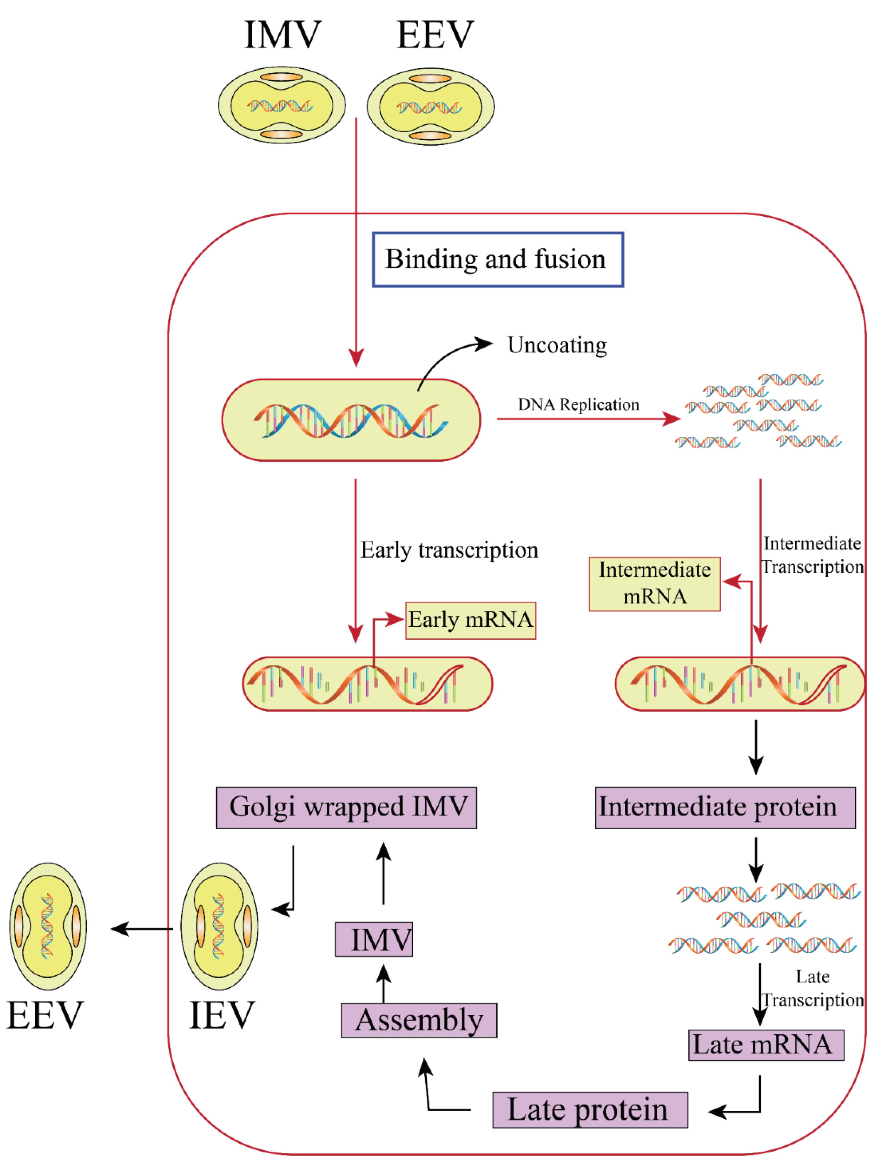 Preprints 99790 g002