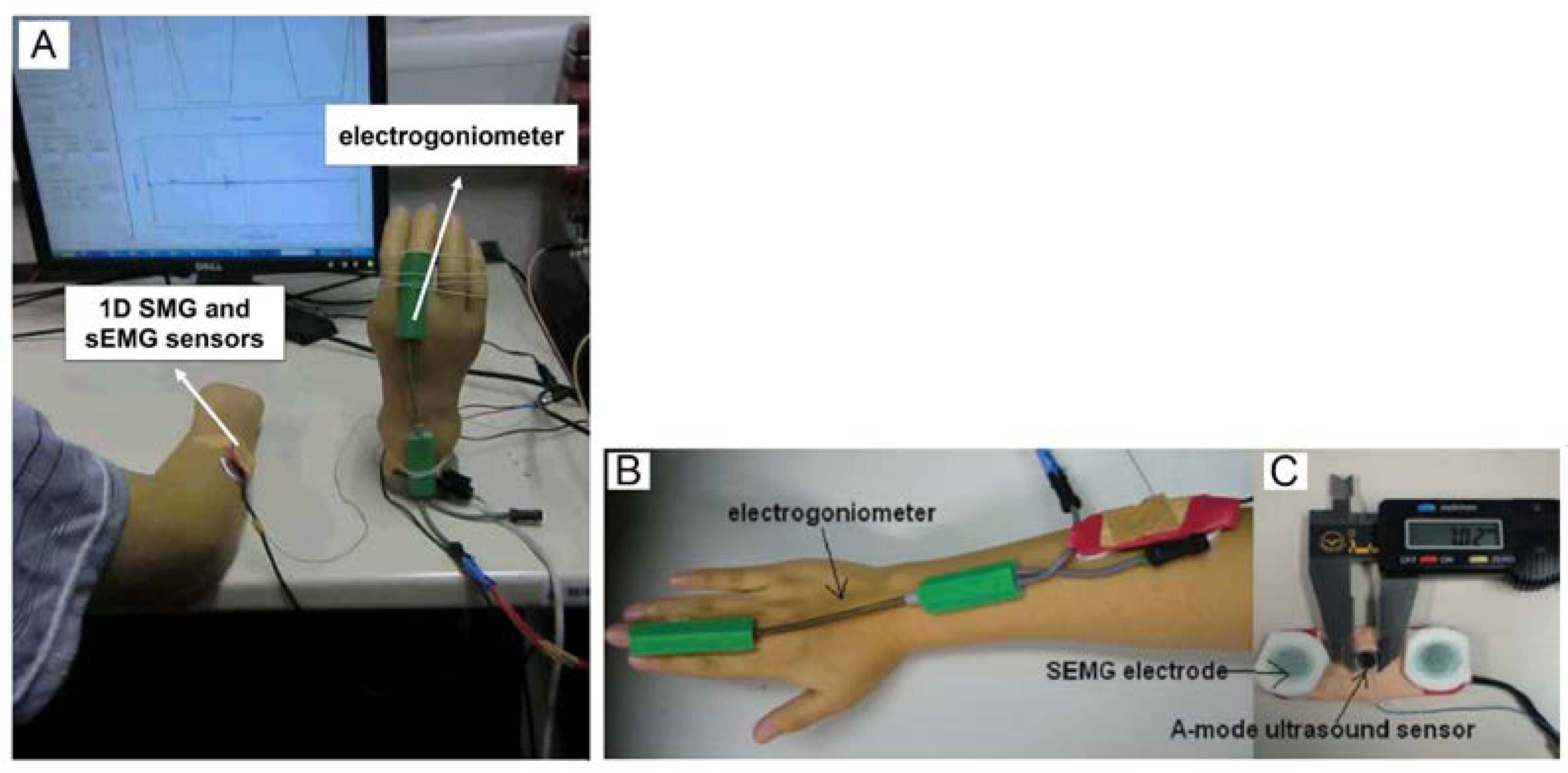 Preprints 67334 g001