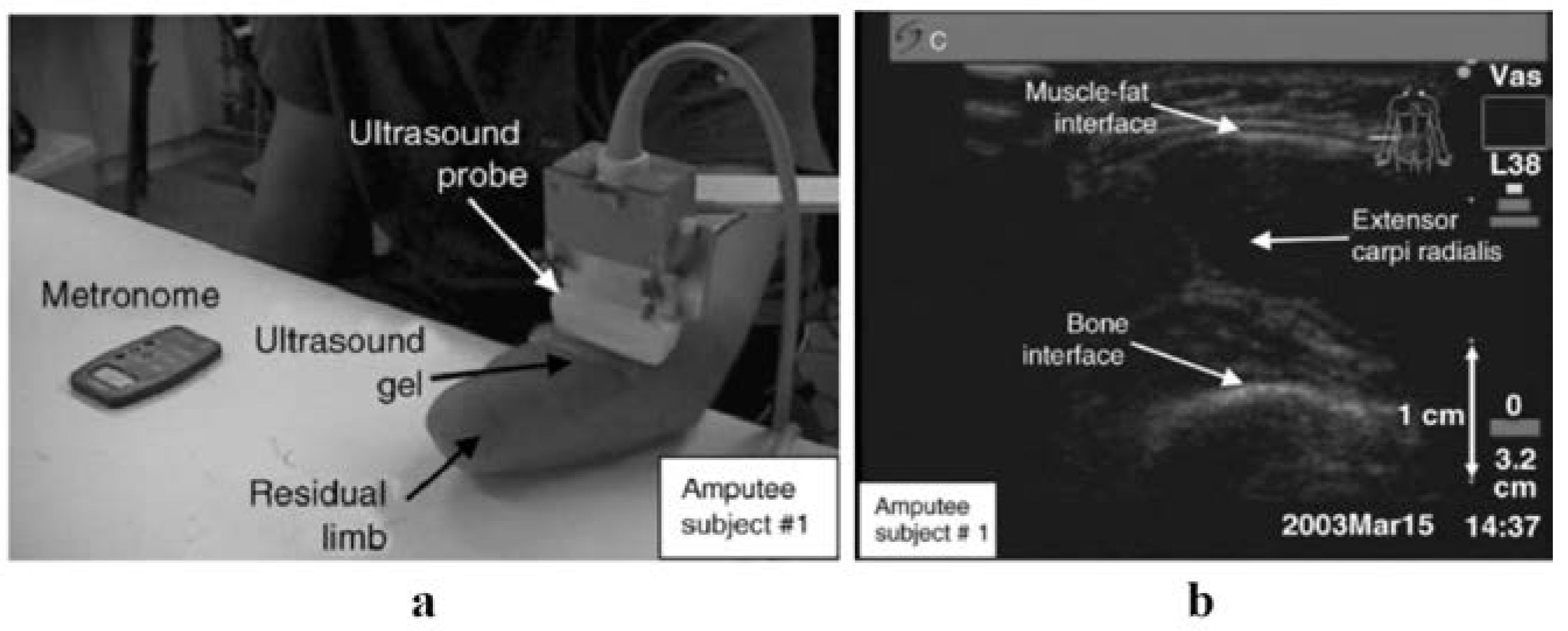 Preprints 67334 g002