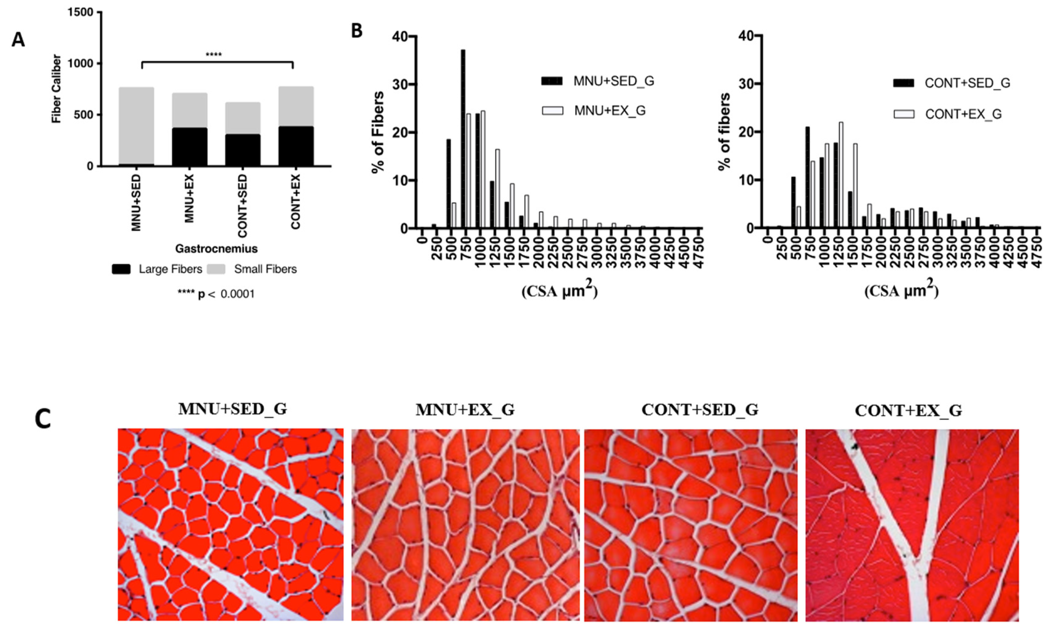 Preprints 83653 g002