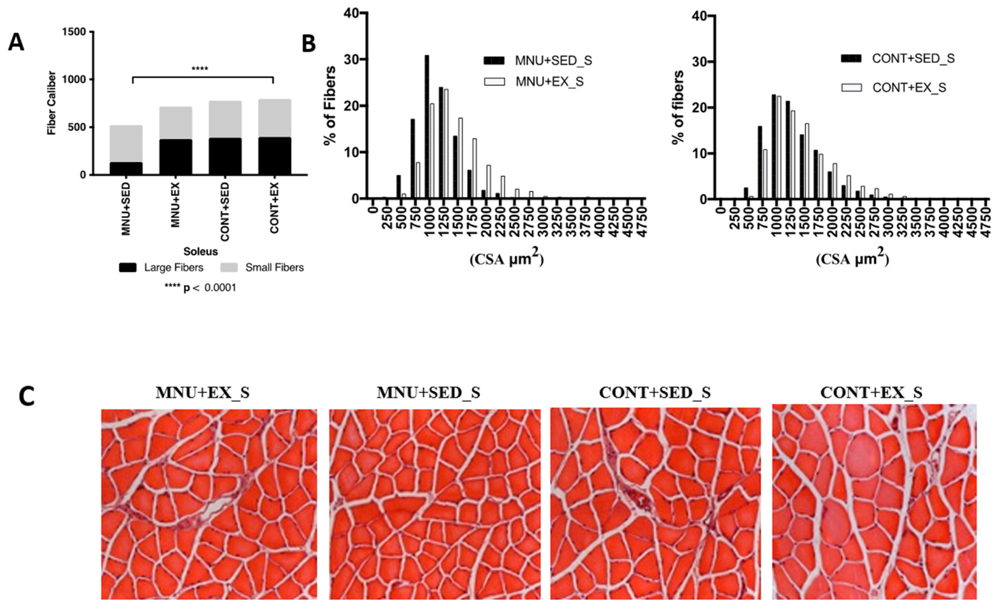 Preprints 83653 g003