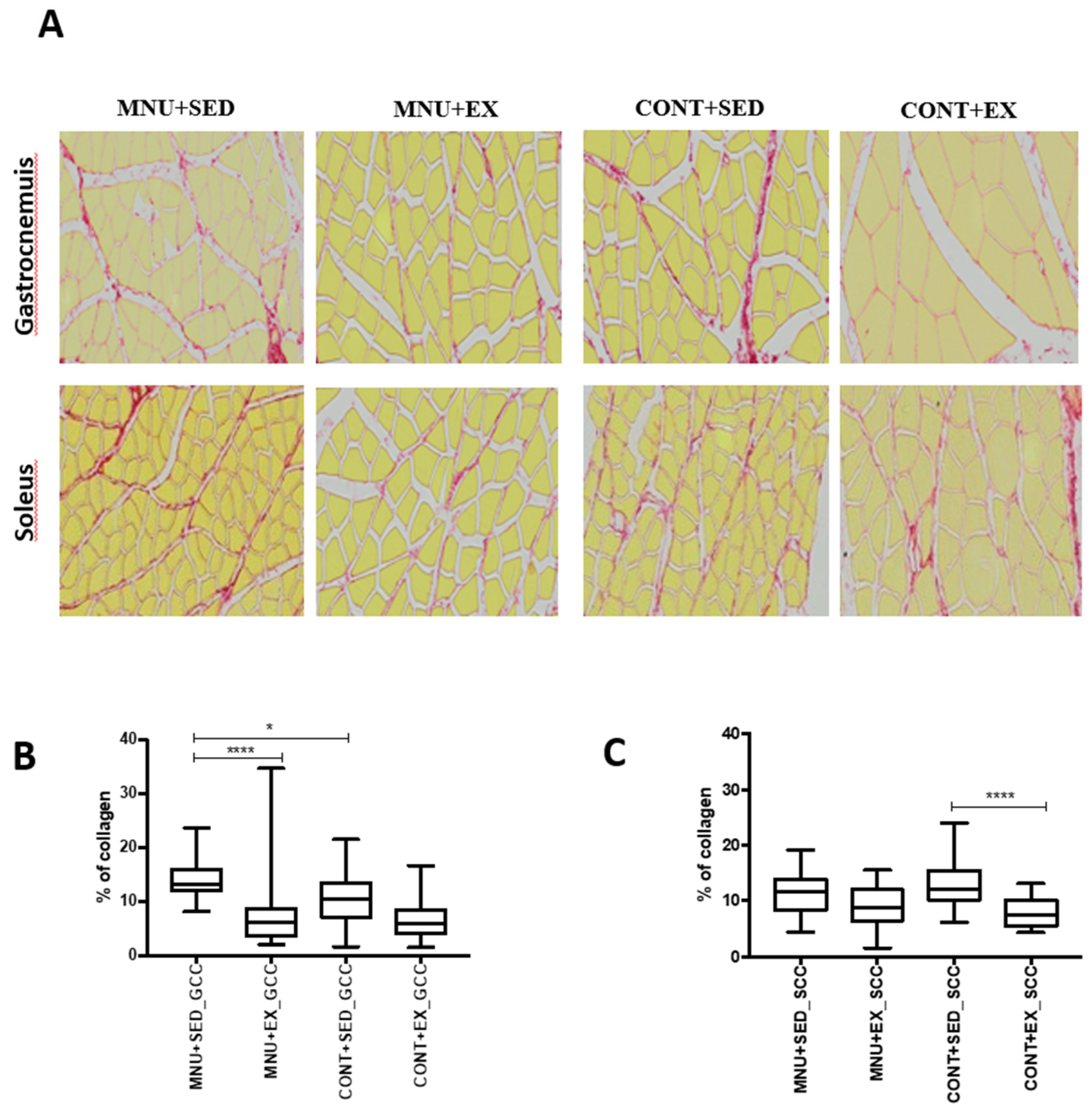 Preprints 83653 g004