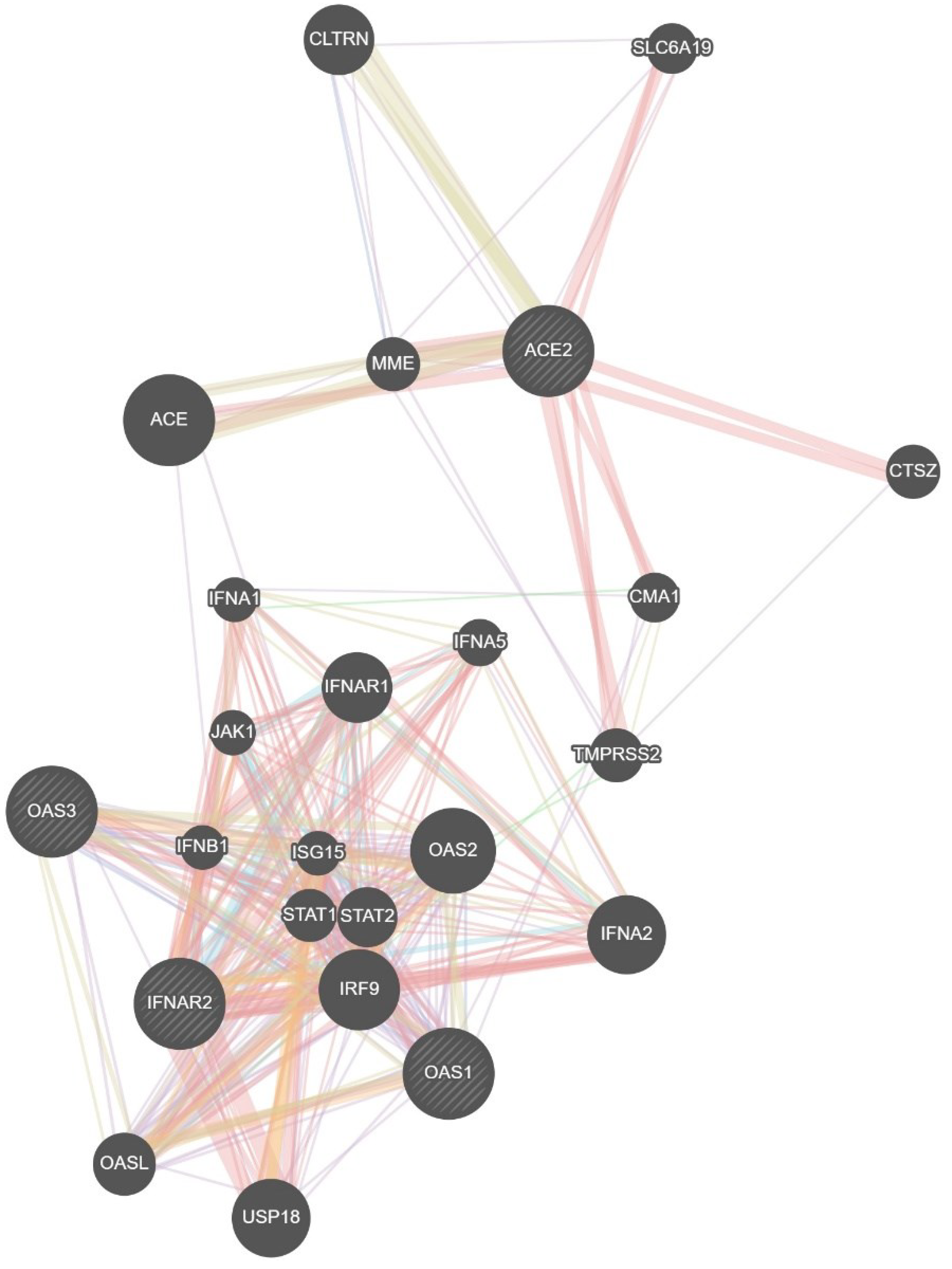 Preprints 102248 g006