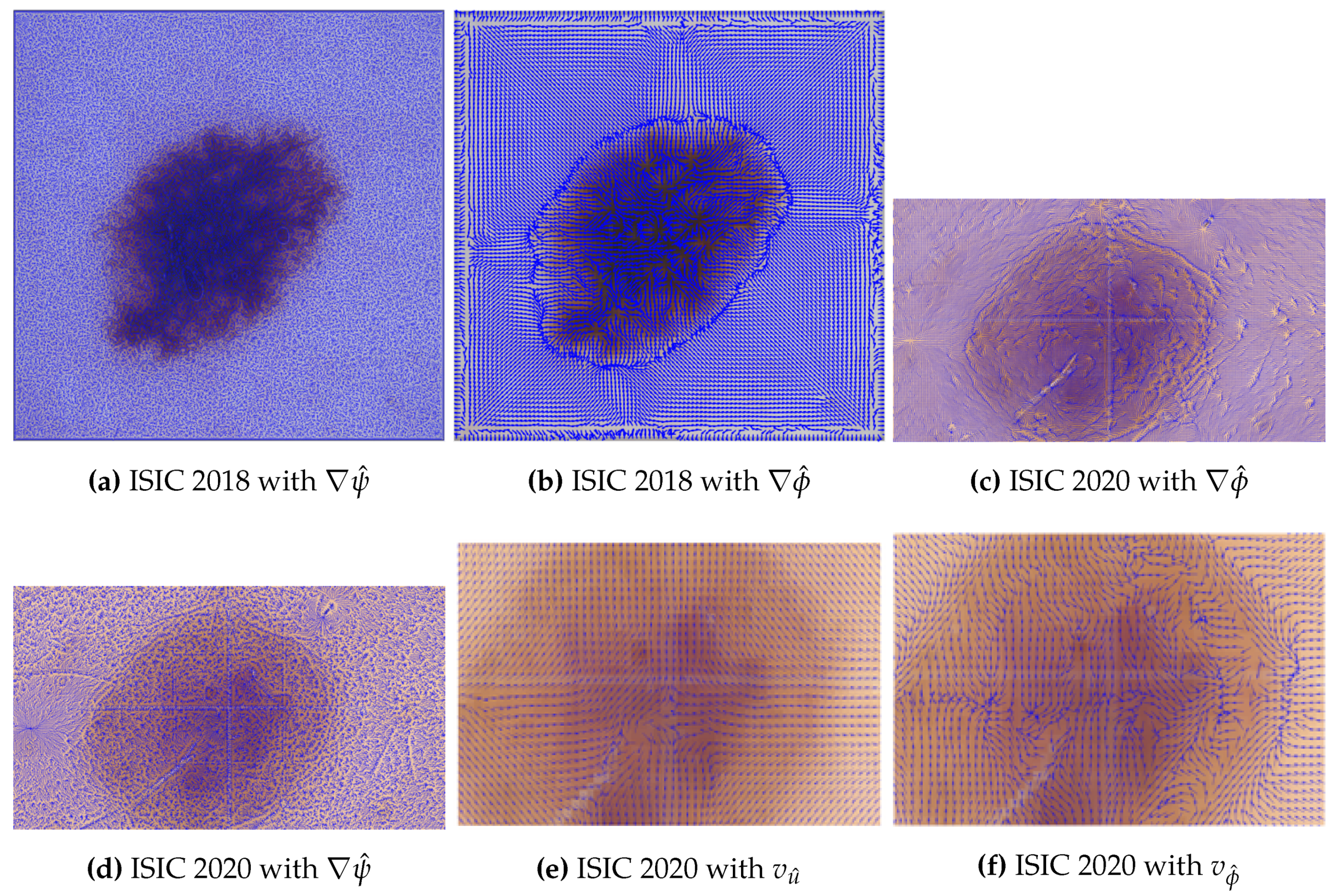 Preprints 111704 g009