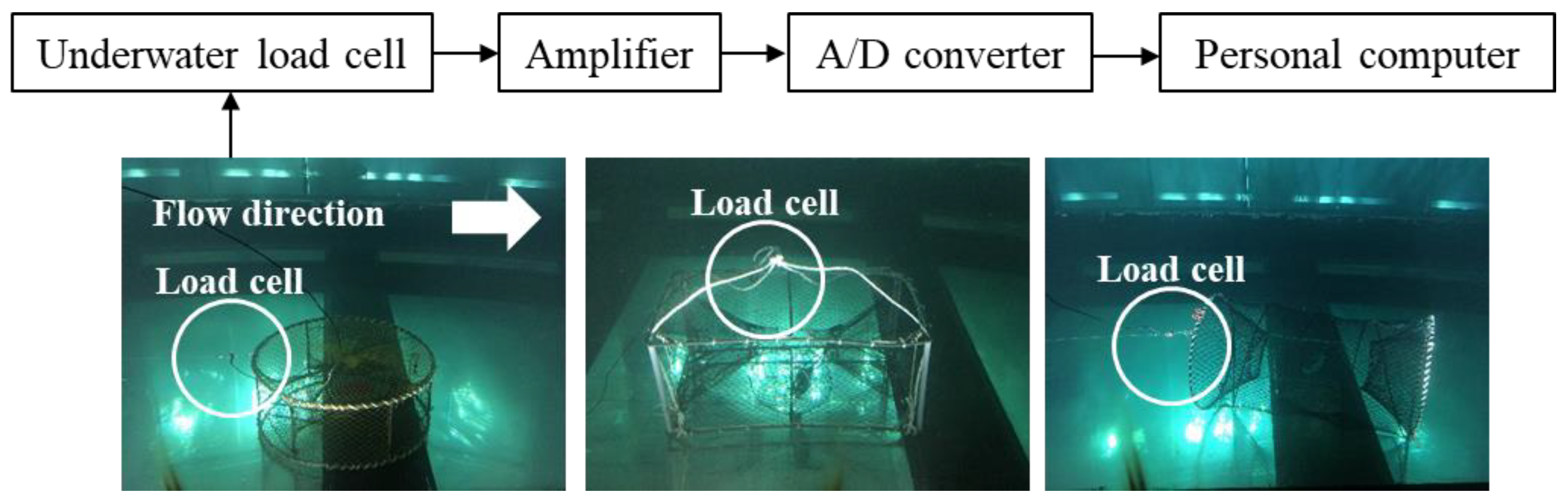 Preprints 110439 g004