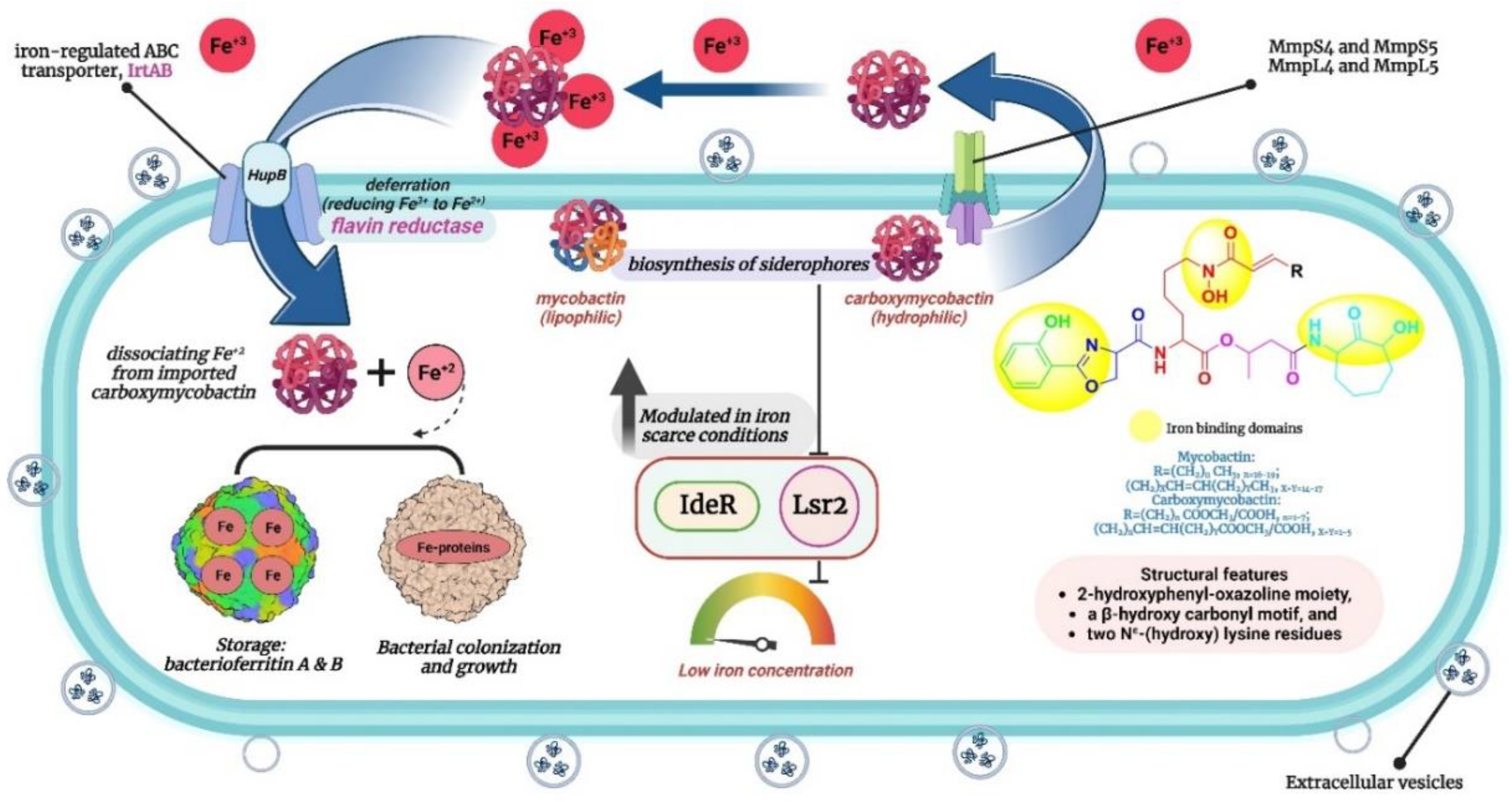 Preprints 86286 g002