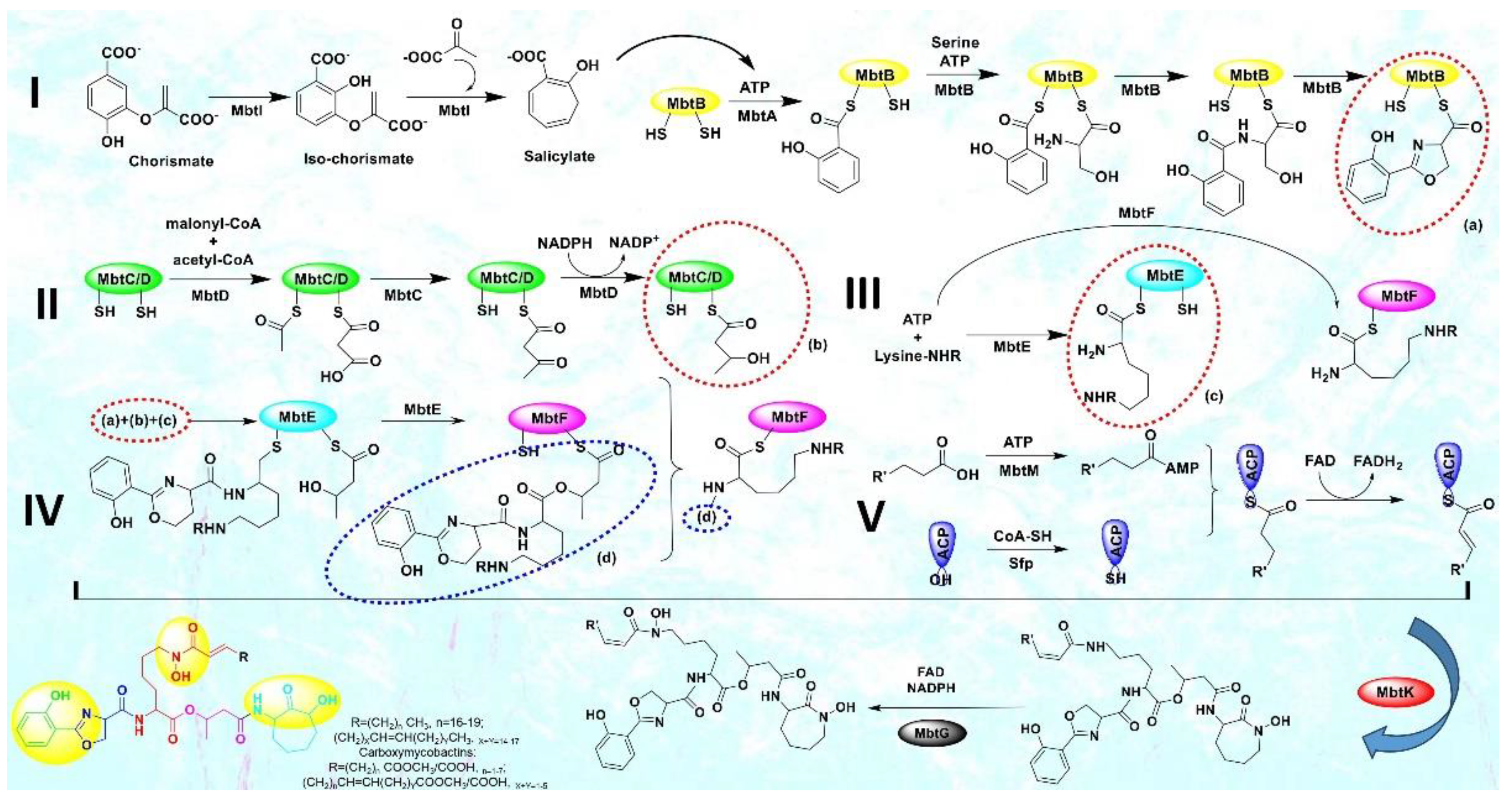 Preprints 86286 g003