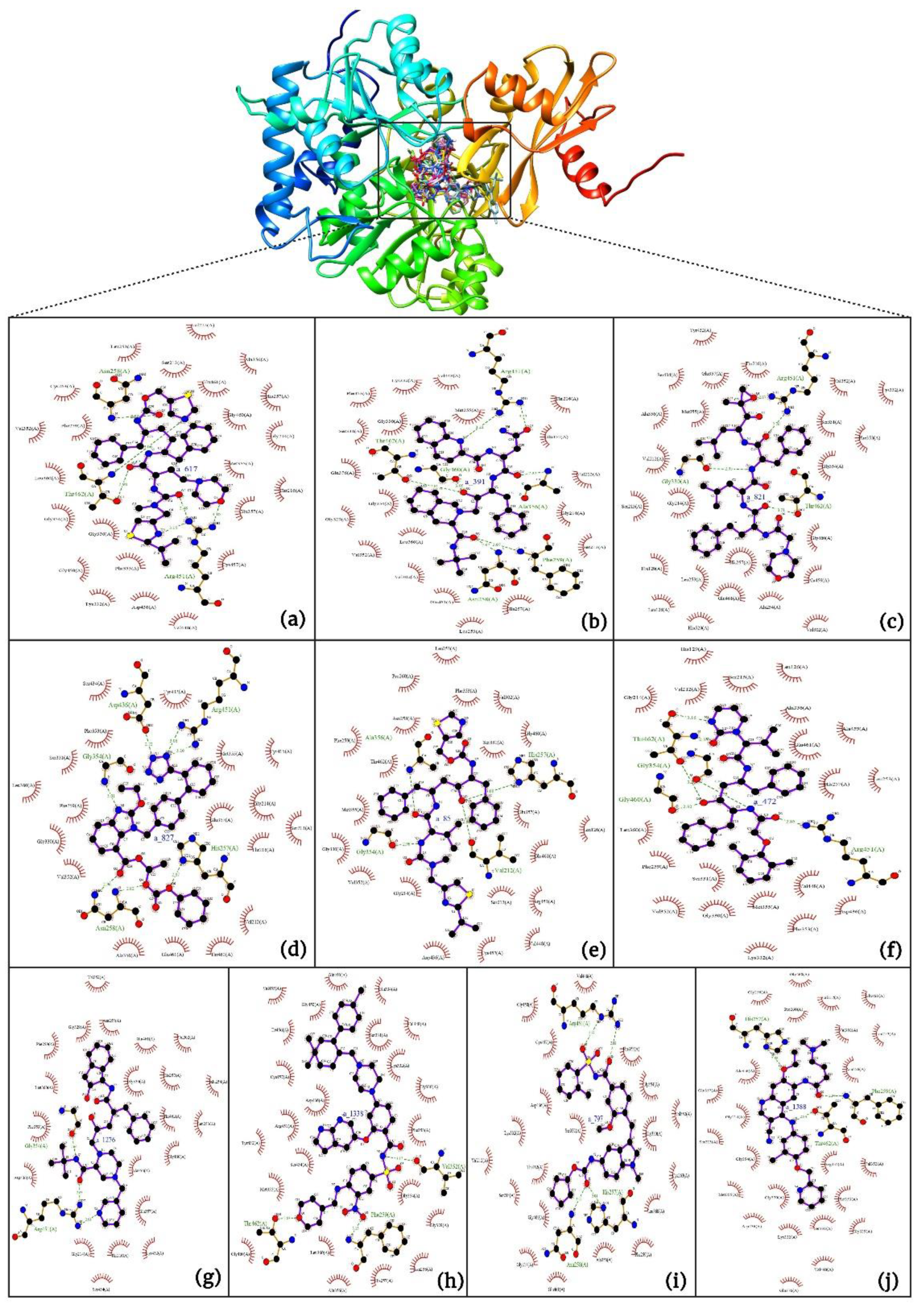 Preprints 86286 g006