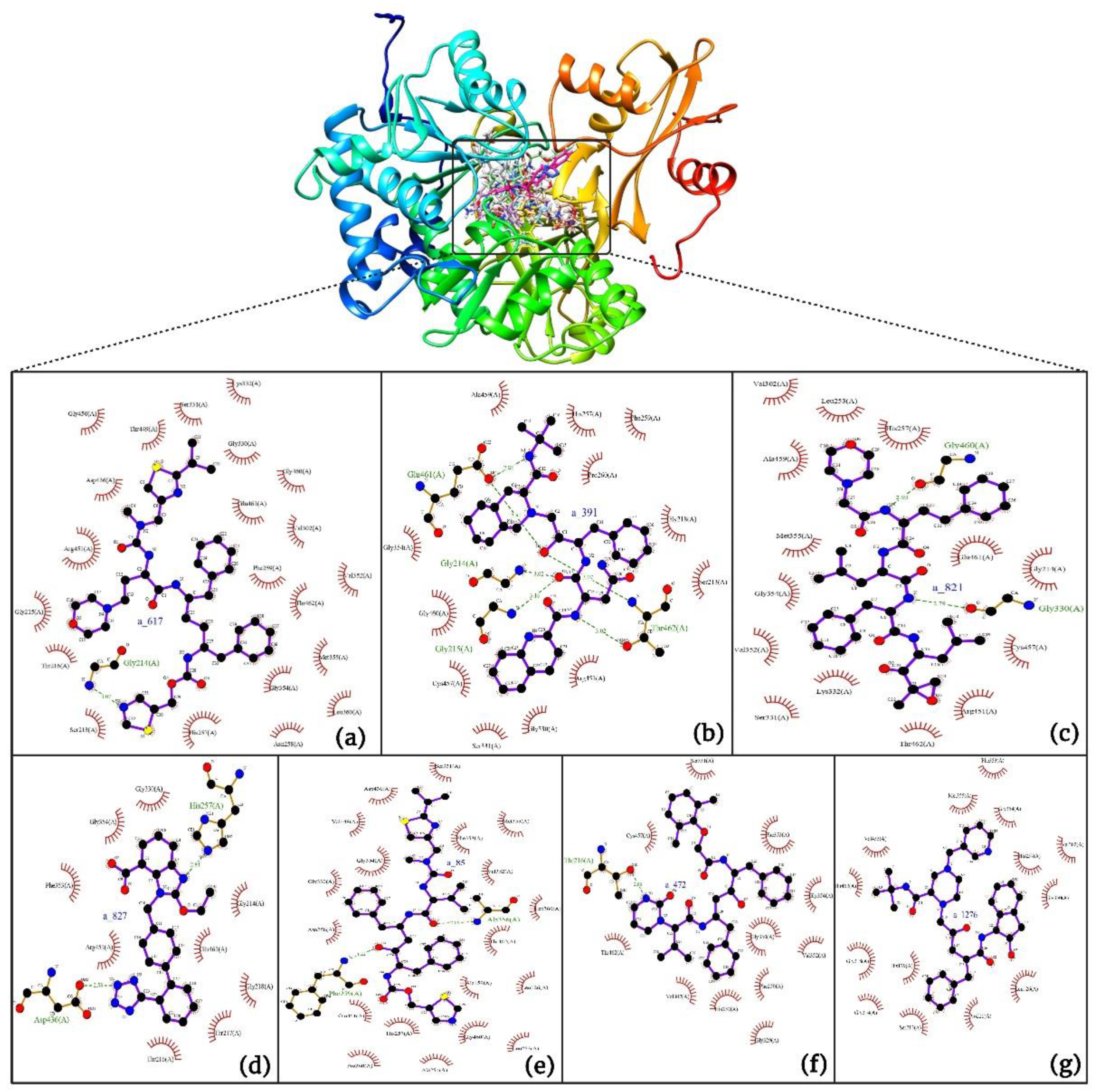 Preprints 86286 g011