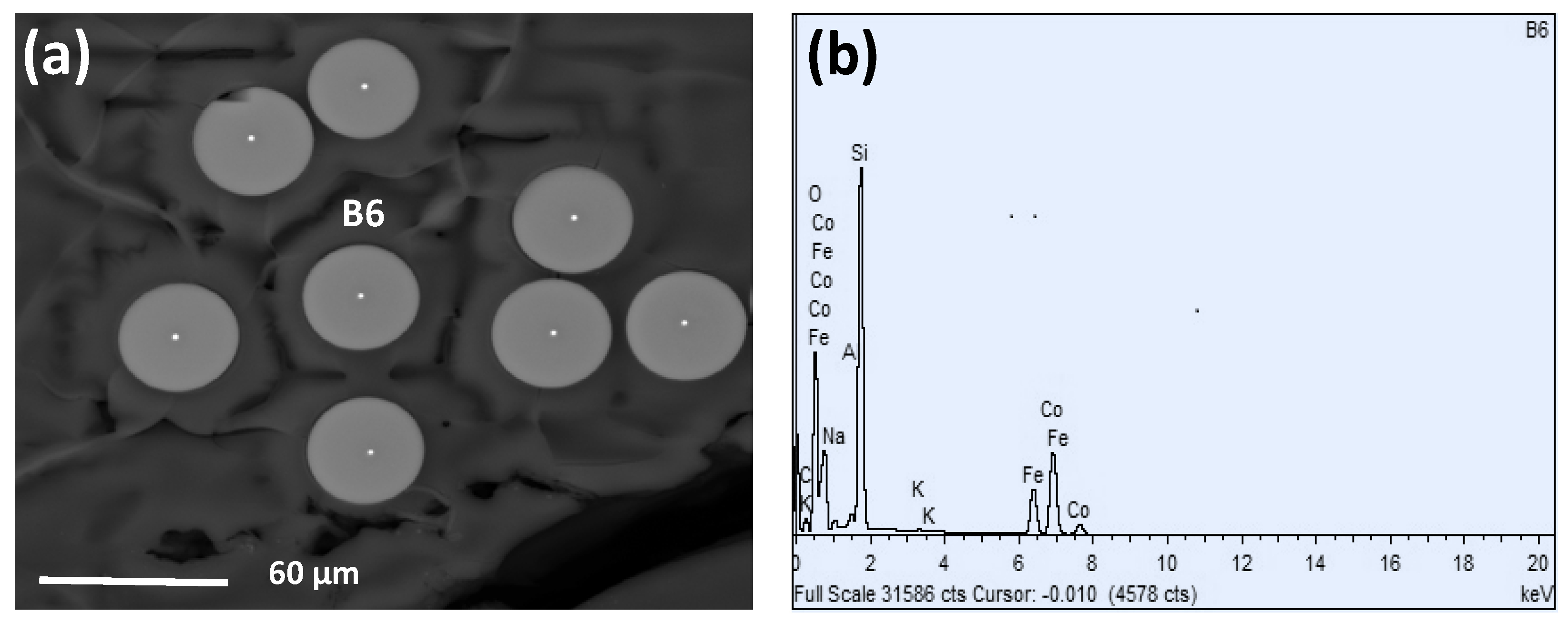 Preprints 70586 g001